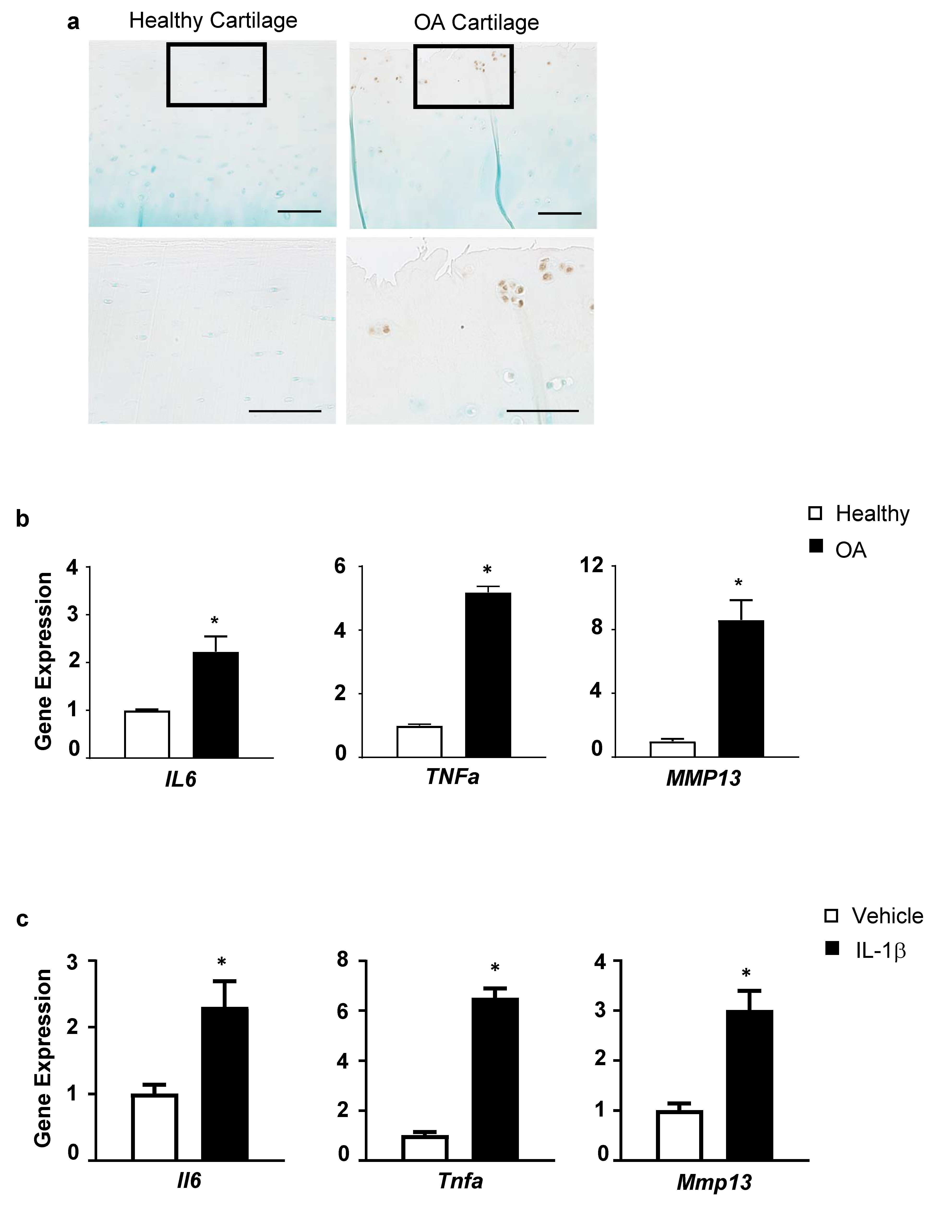 Biomolecules 13 00123 g001 Biomolecules 13 00123 g001