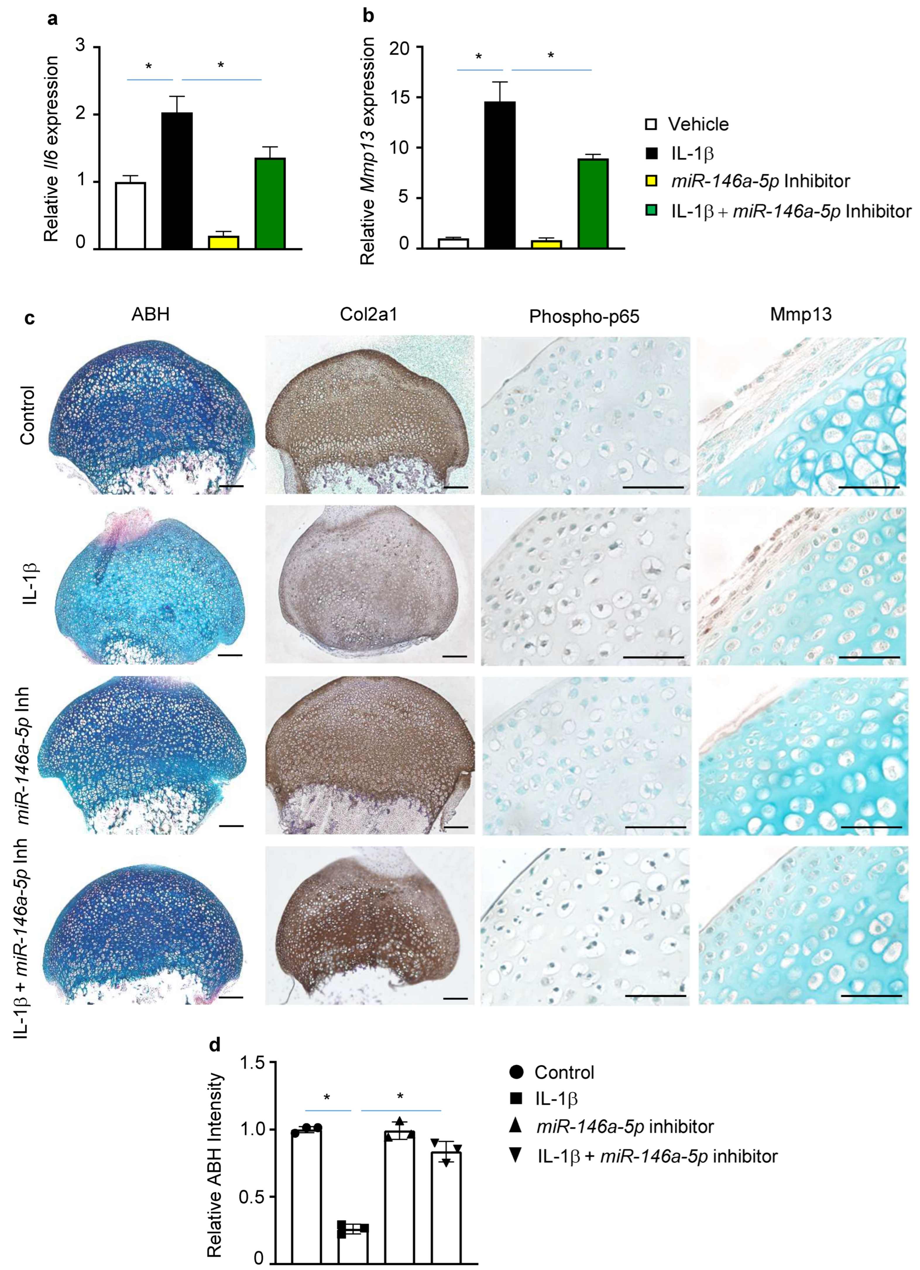 Biomolecules 13 00123 g003 Biomolecules 13 00123 g003