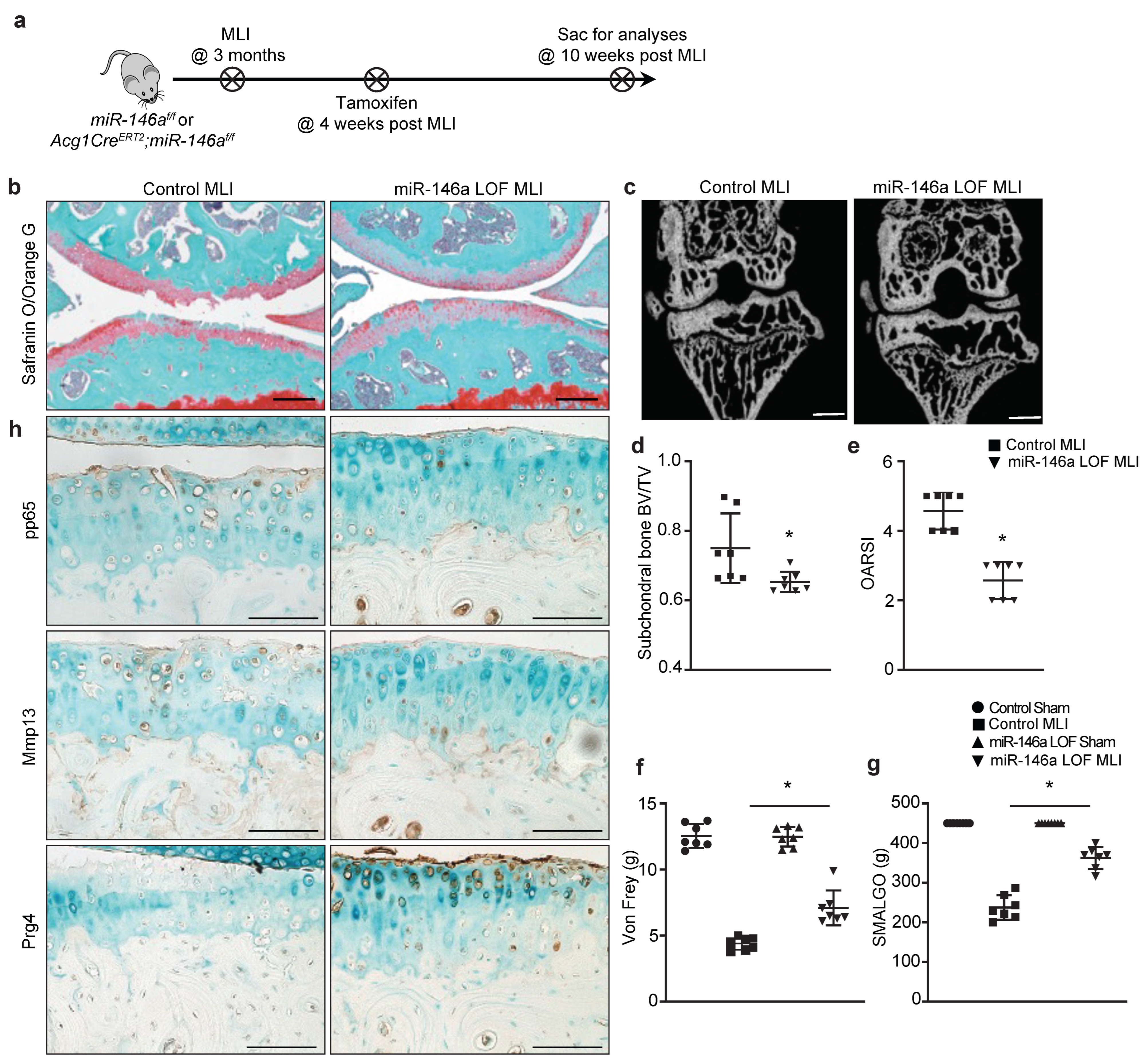 Biomolecules 13 00123 g004 Biomolecules 13 00123 g004