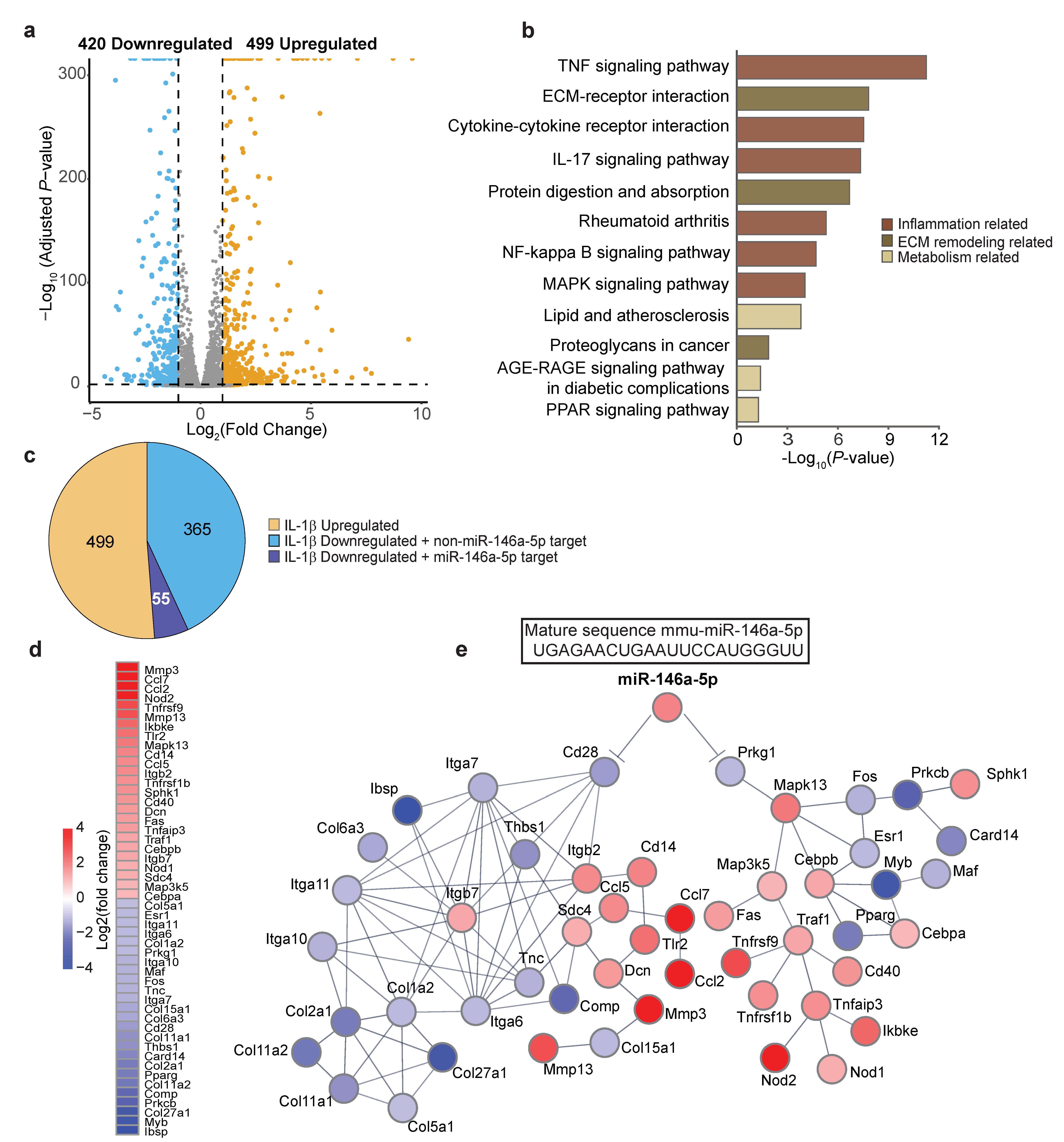 Biomolecules 13 00123 g005 Biomolecules 13 00123 g005