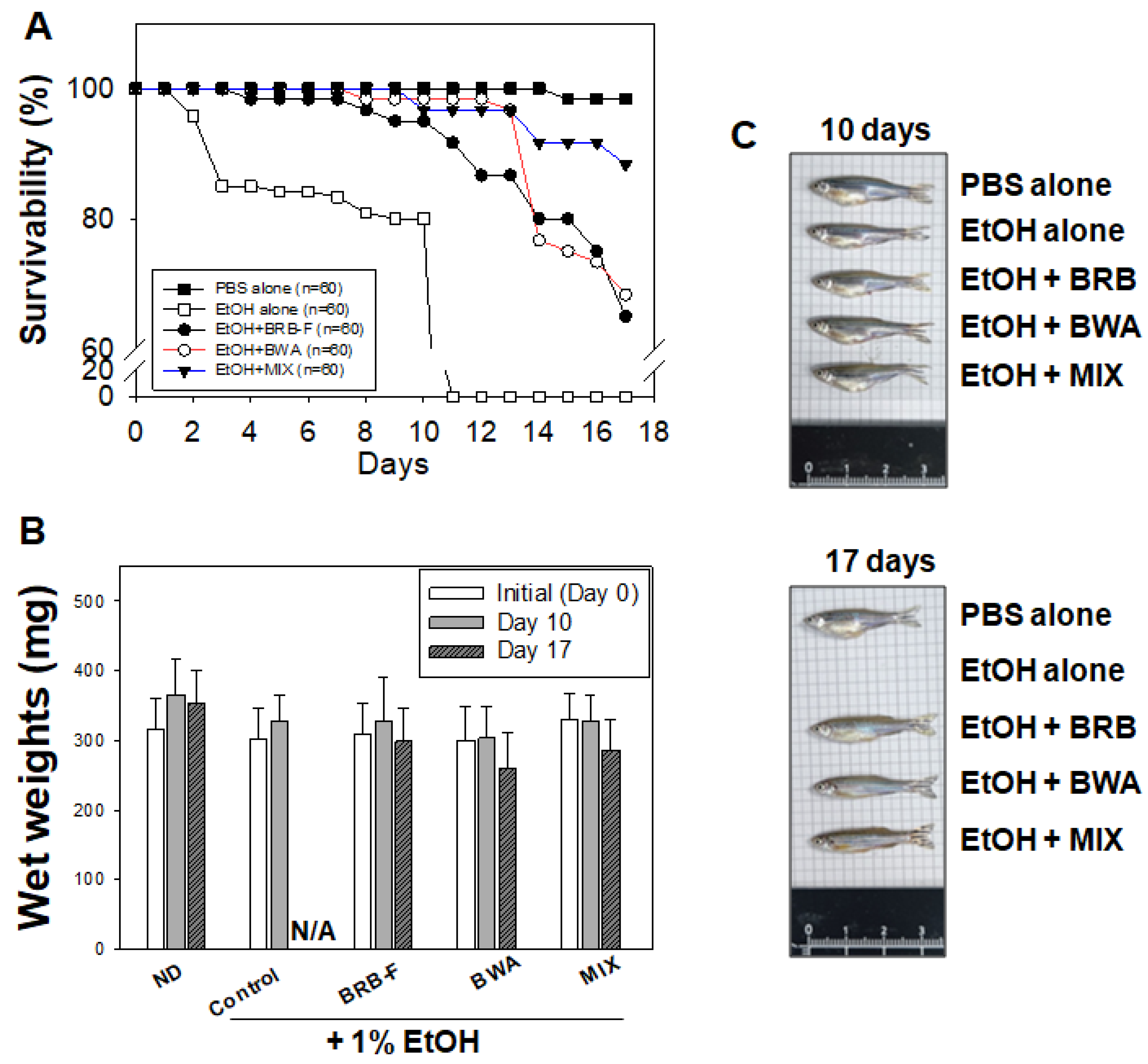 Biomolecules 13 00136 g002