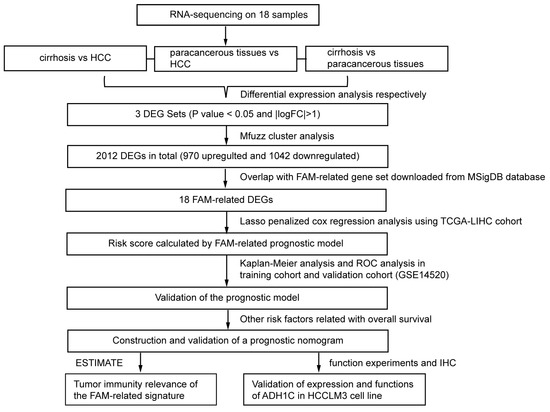 Biomolecules | Free Full-Text | HCC: RNA-Sequencing in Cirrhosis