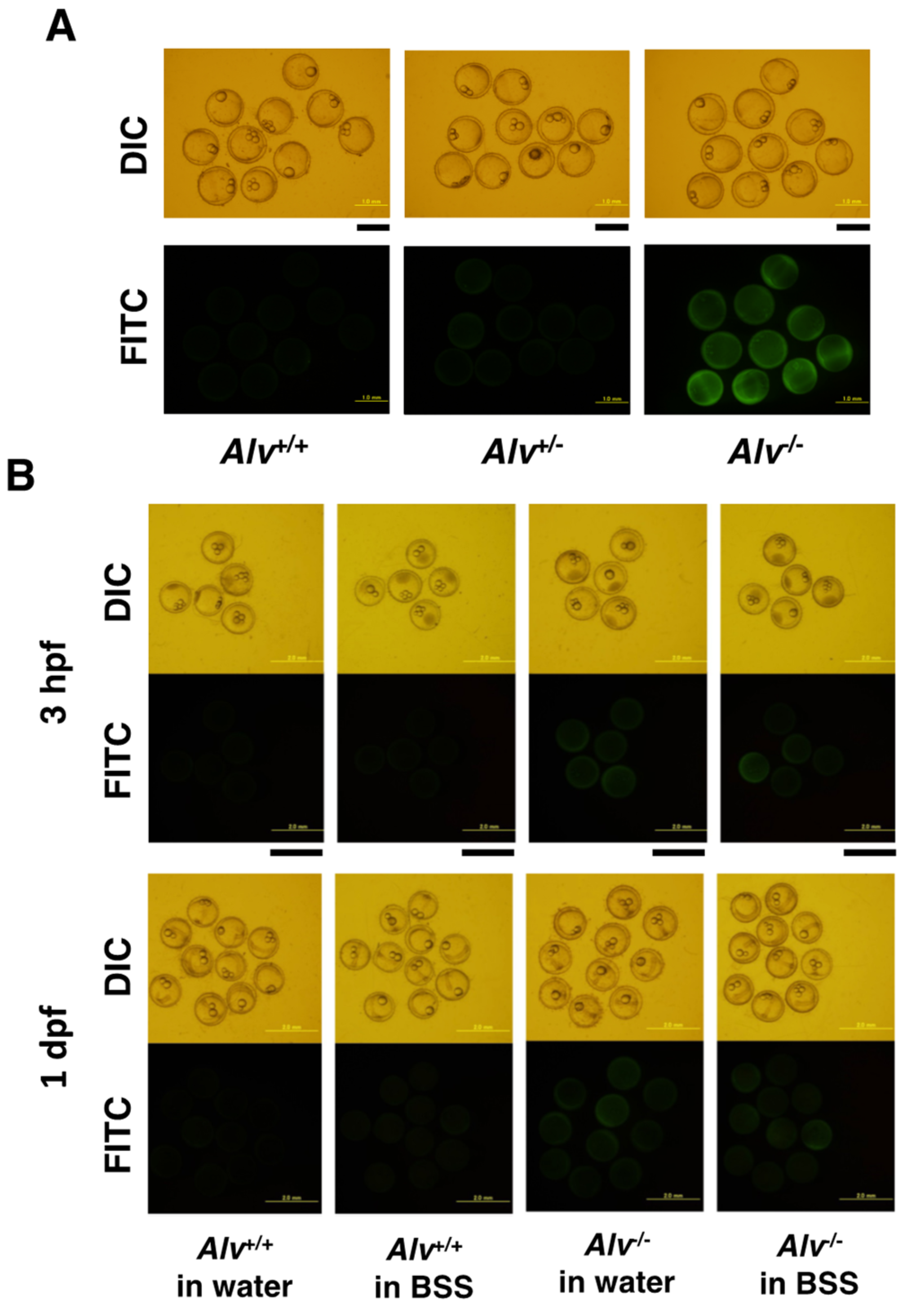 Biomolecules 13 00146 g005 Biomolecules 13 00146 g005