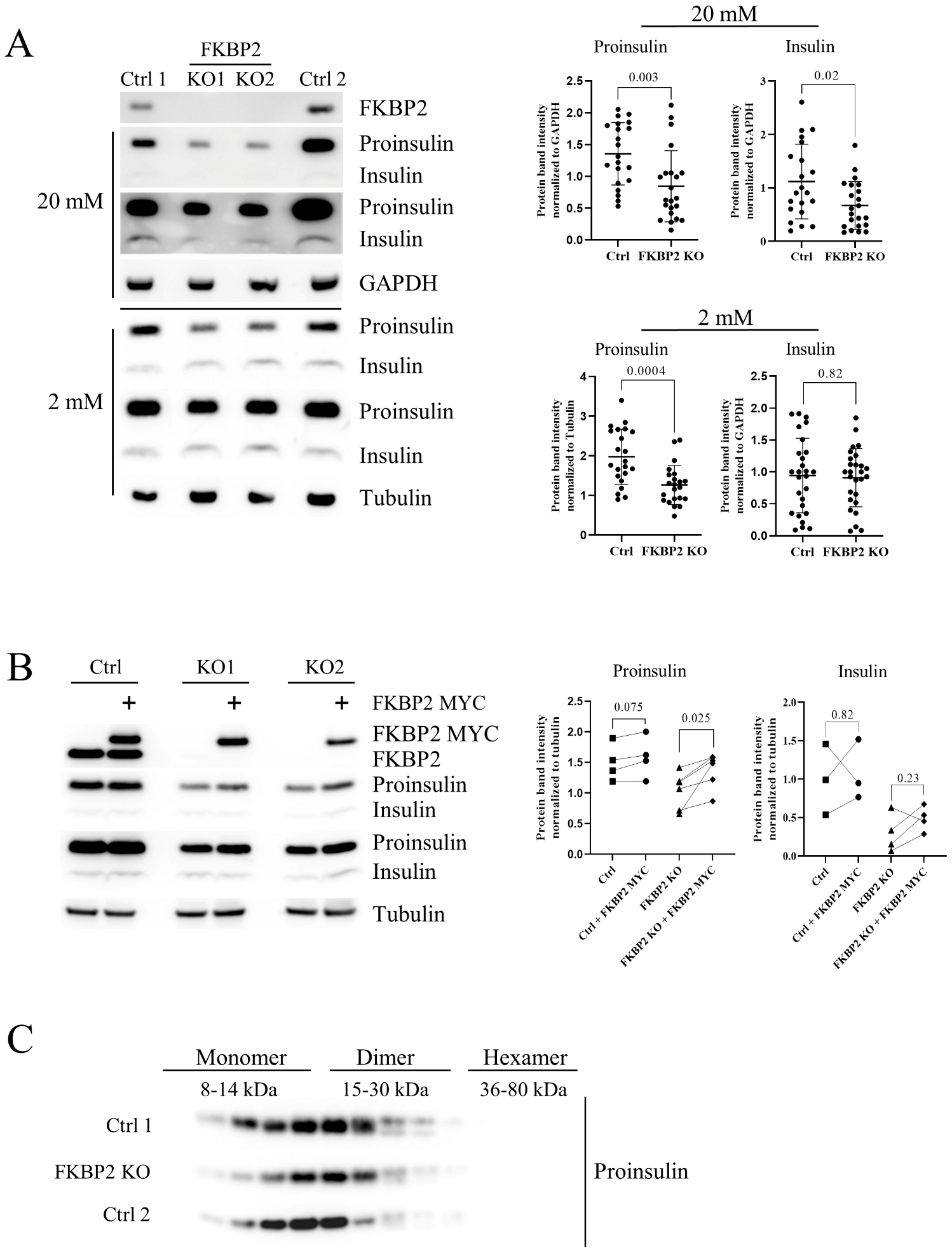 Biomolecules 13 00152 g003