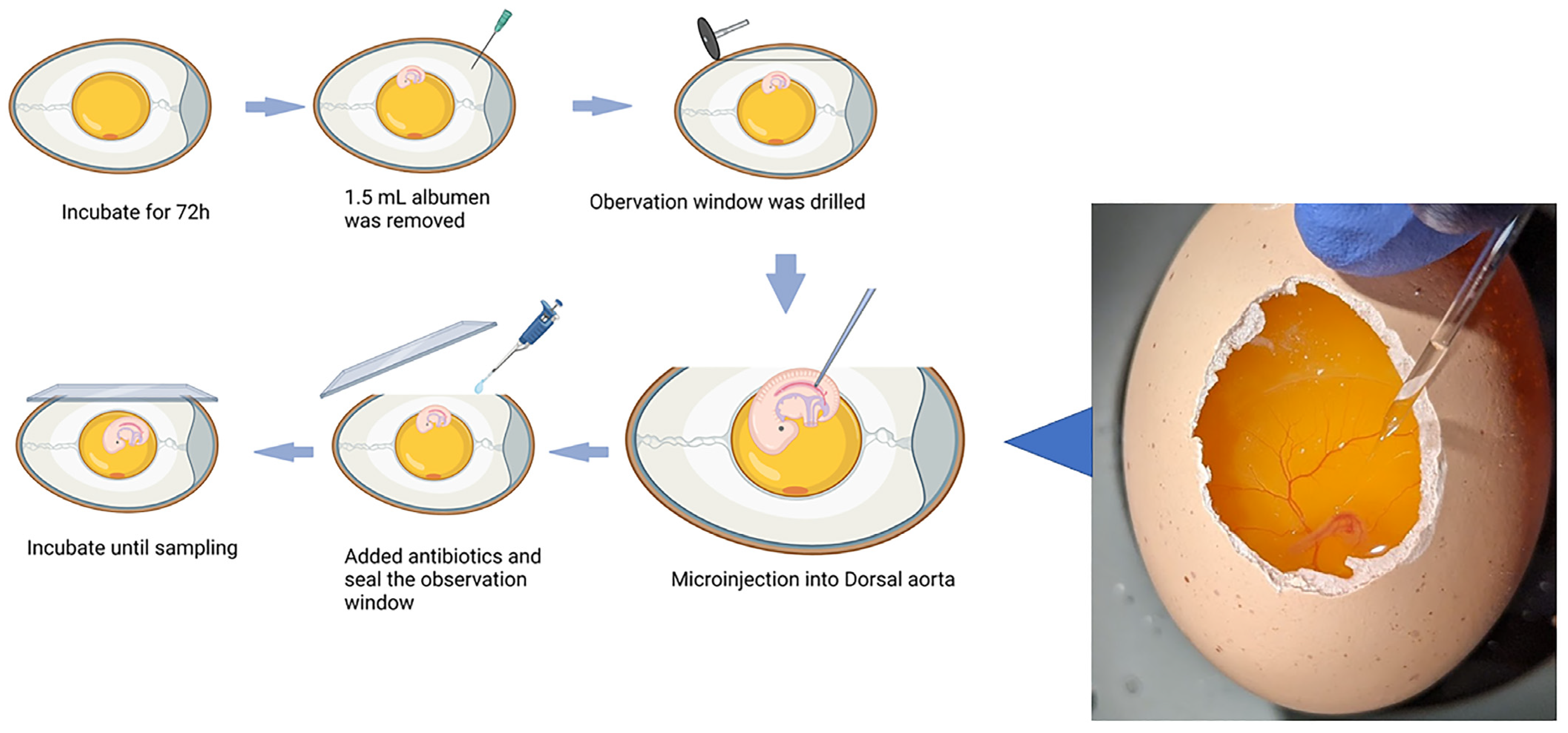 Biomolecules 13 00154 g001 Biomolecules 13 00154 g001