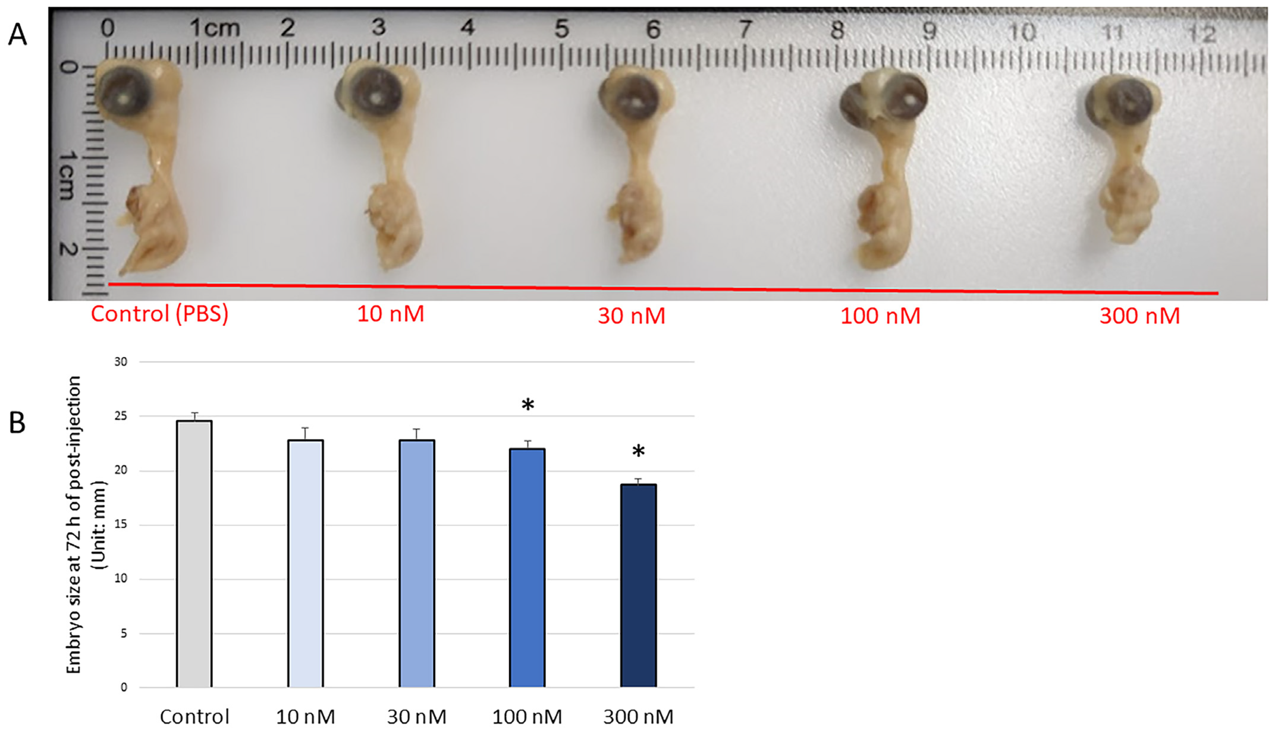 Biomolecules 13 00154 g008 Biomolecules 13 00154 g008