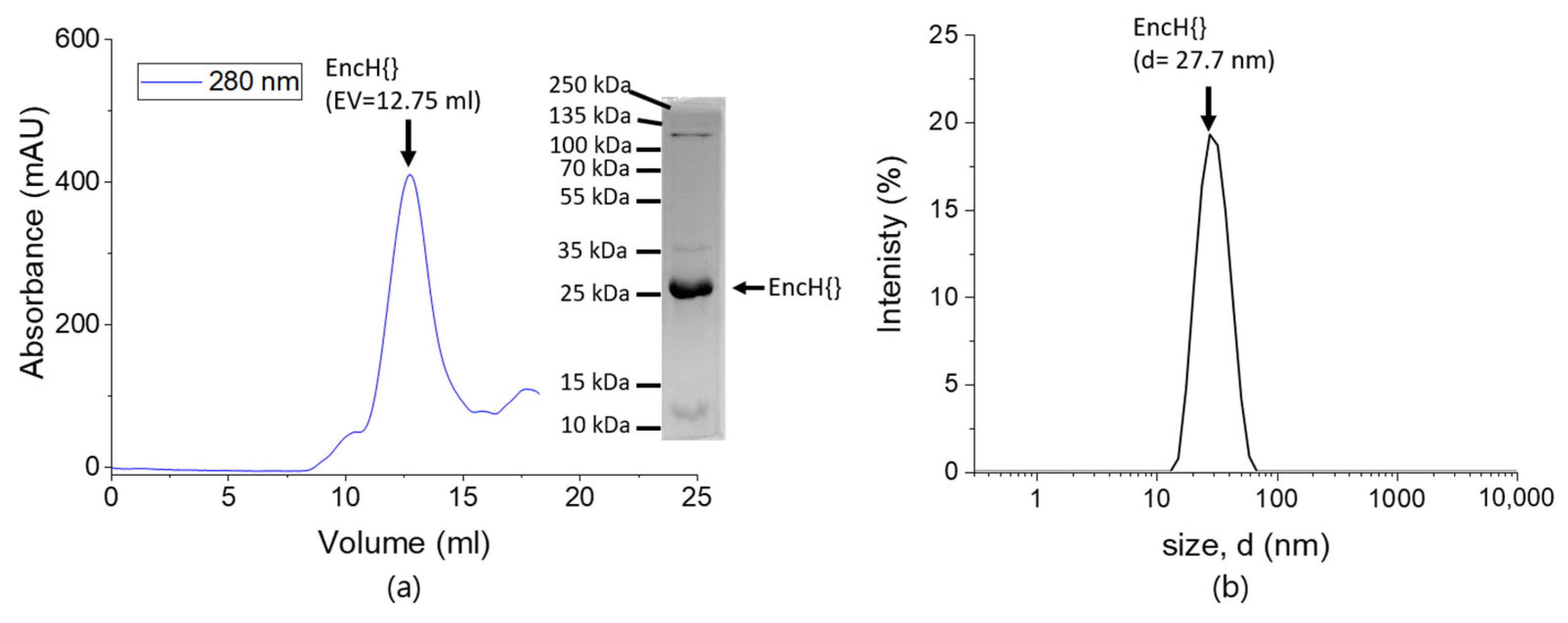 Biomolecules 13 00174 g003