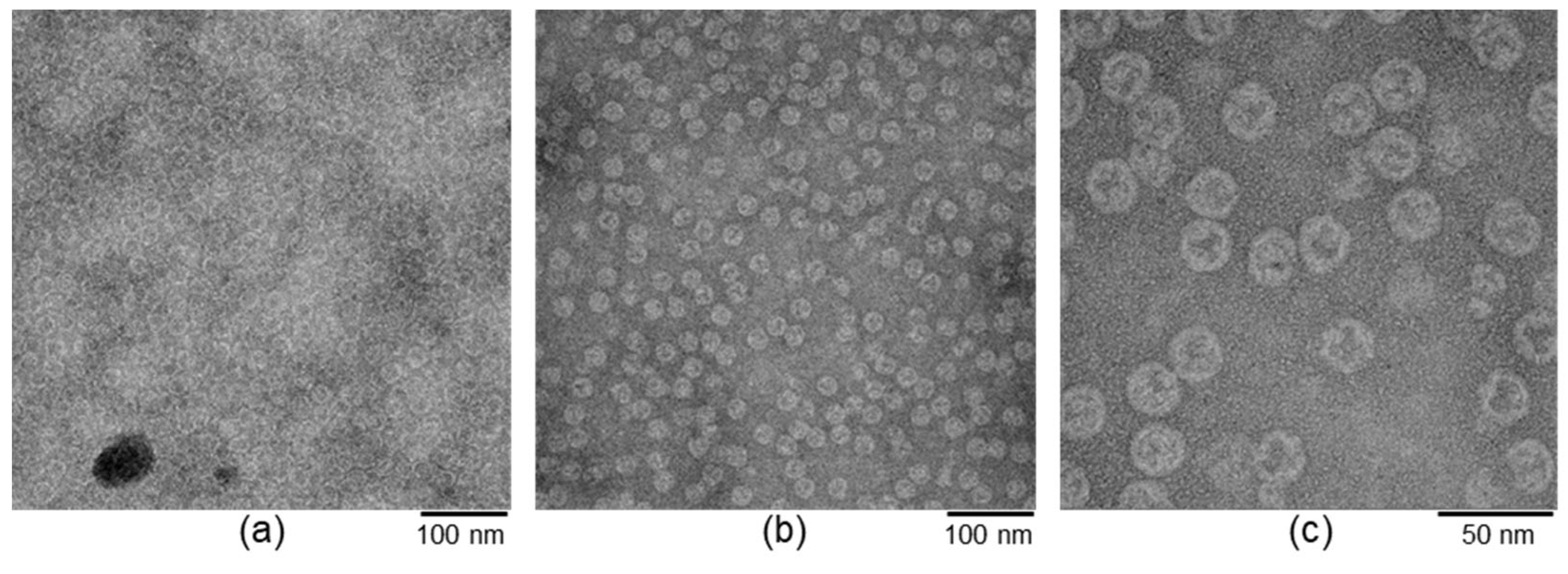 Biomolecules 13 00174 g004