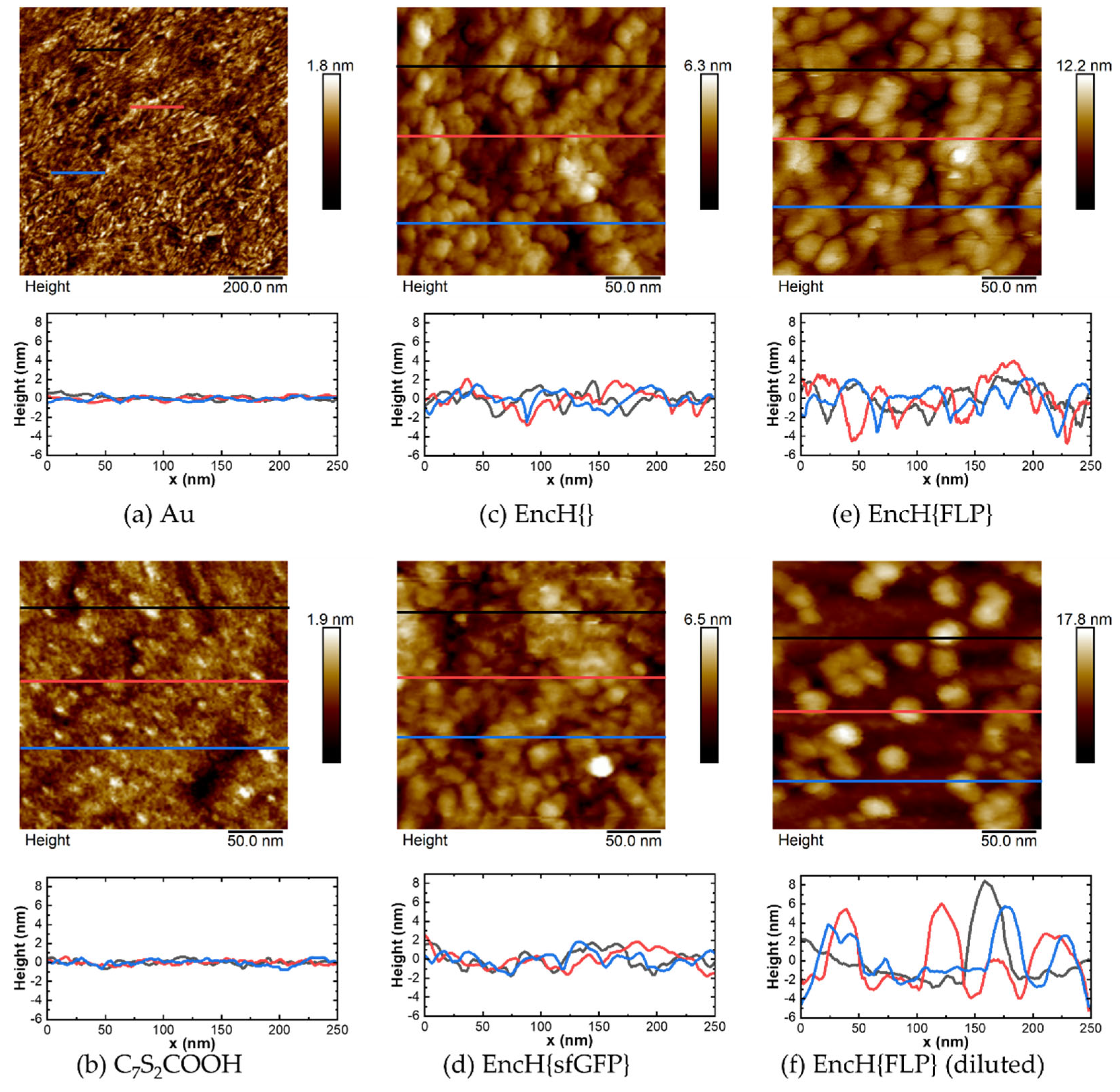 Biomolecules 13 00174 g005