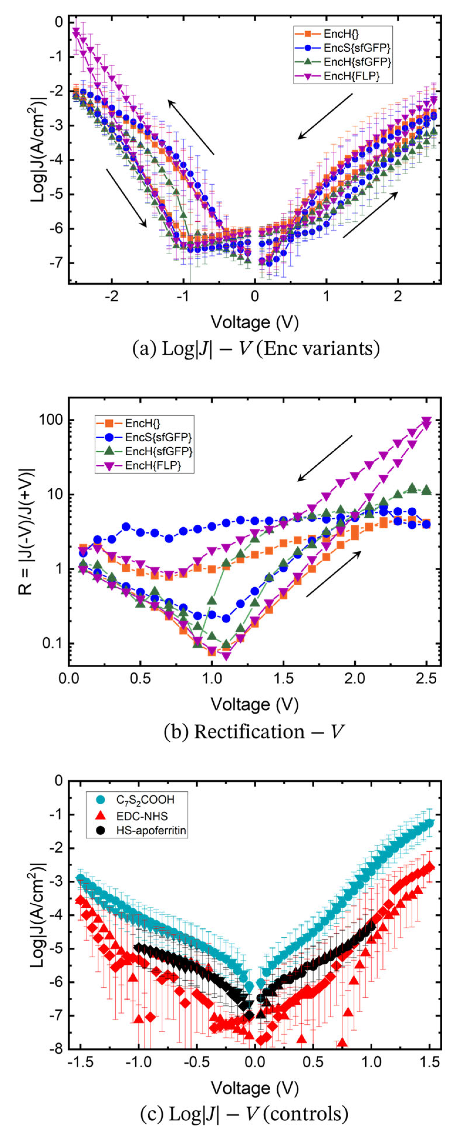 Biomolecules 13 00174 g006