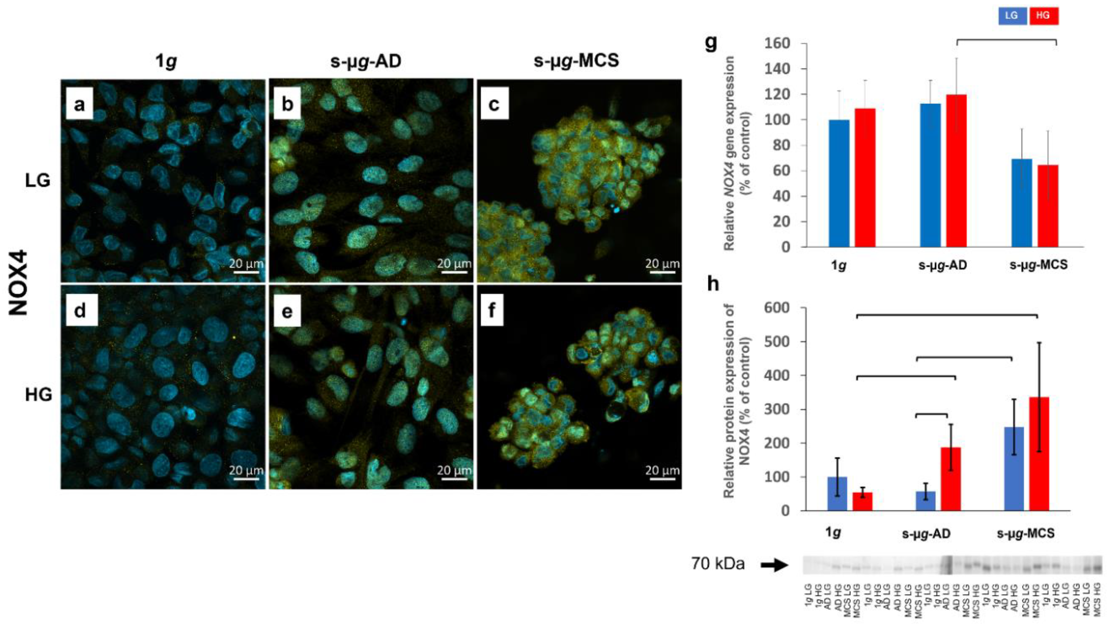 Biomolecules 13 00189 g006 Biomolecules 13 00189 g006