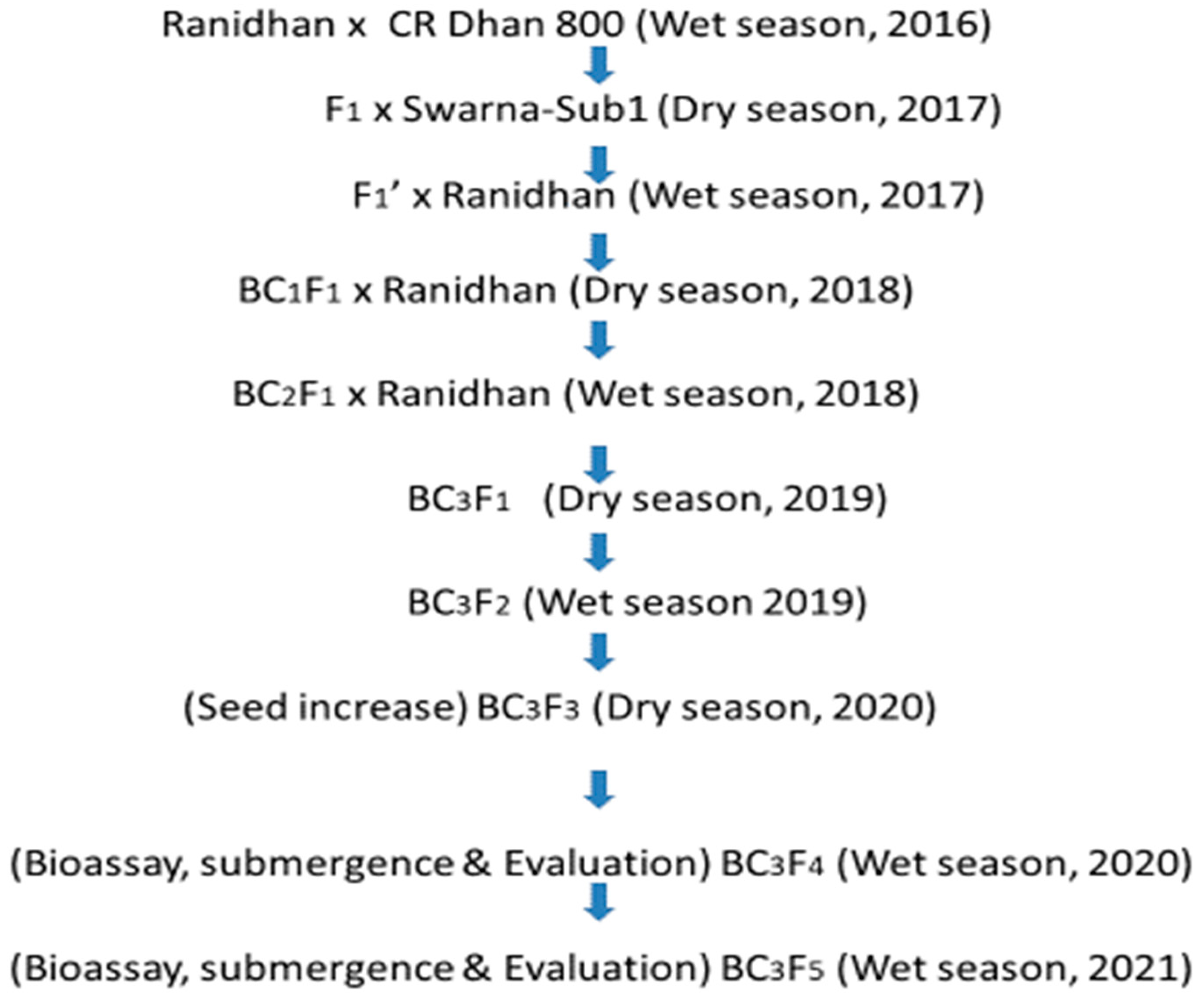 Biomolecules 13 00198 g001 Biomolecules 13 00198 g001