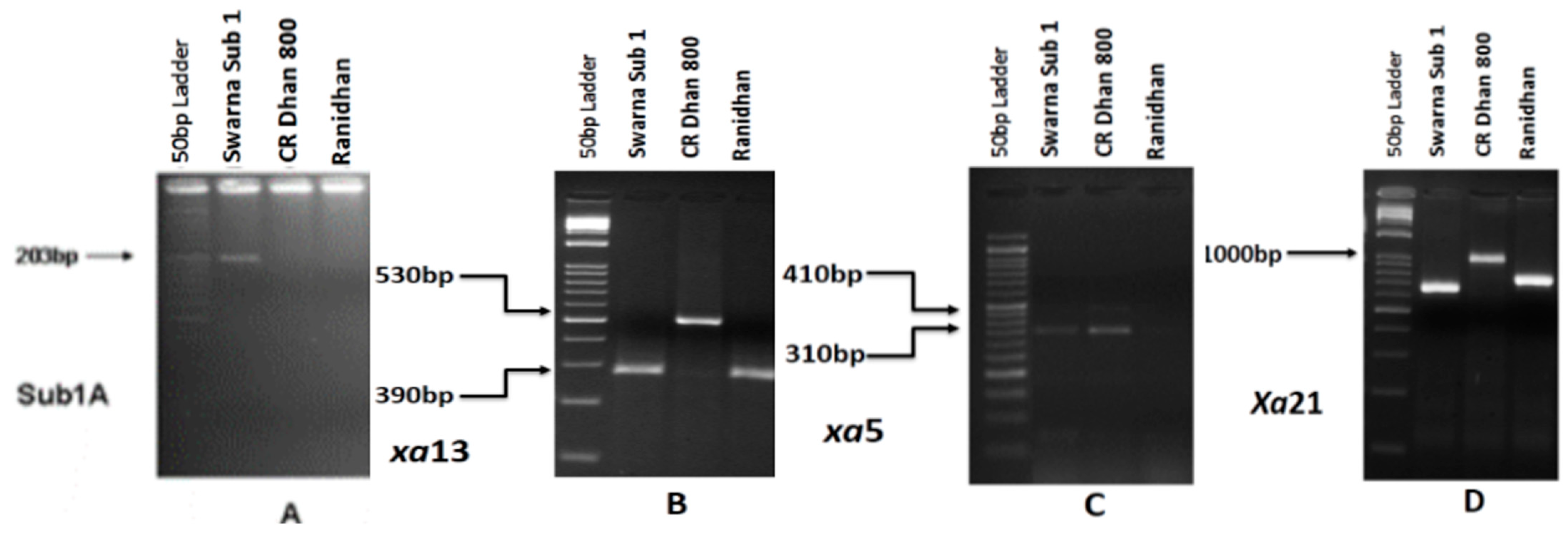 Biomolecules 13 00198 g002 Biomolecules 13 00198 g002
