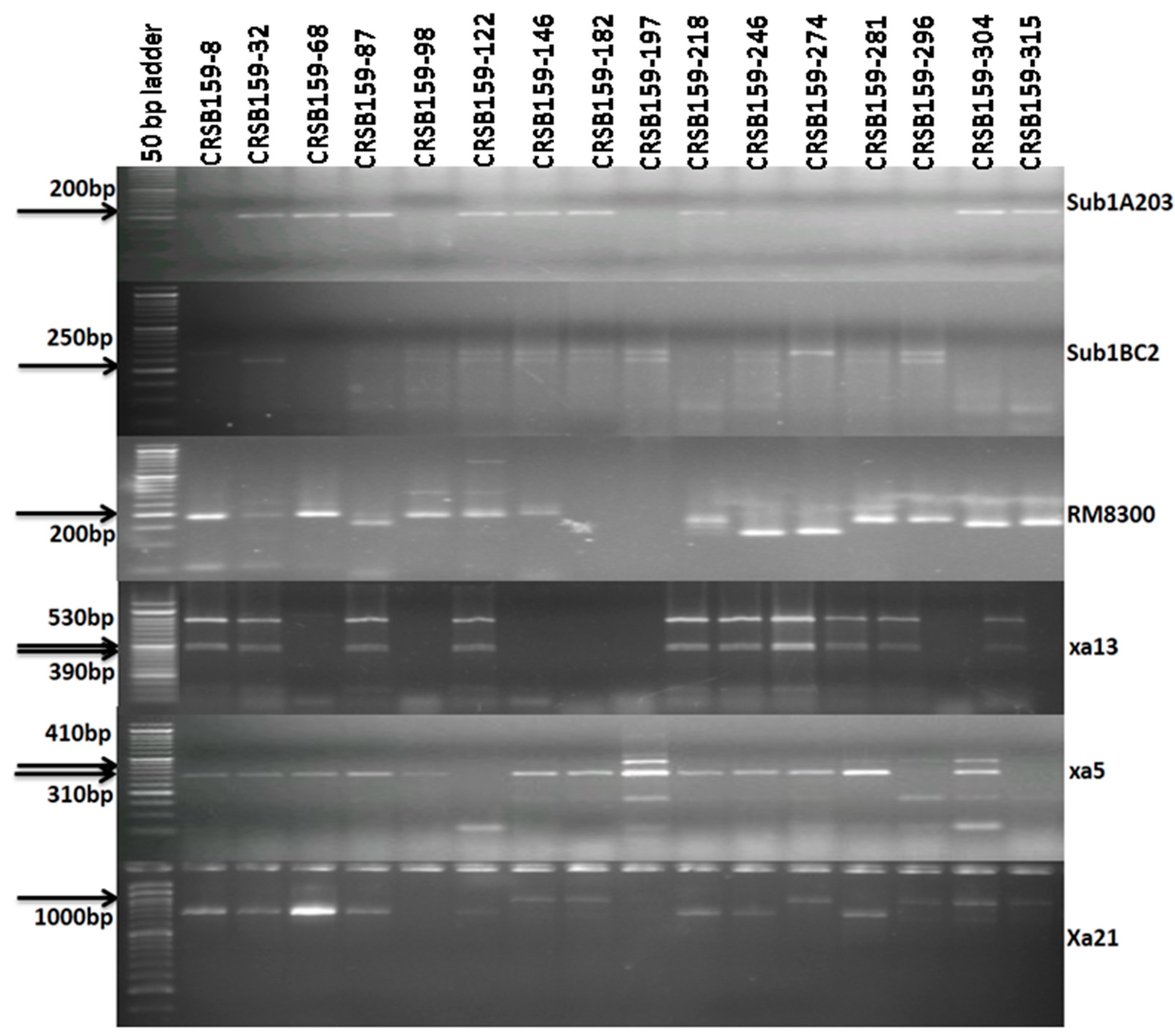 Biomolecules 13 00198 g004 Biomolecules 13 00198 g004