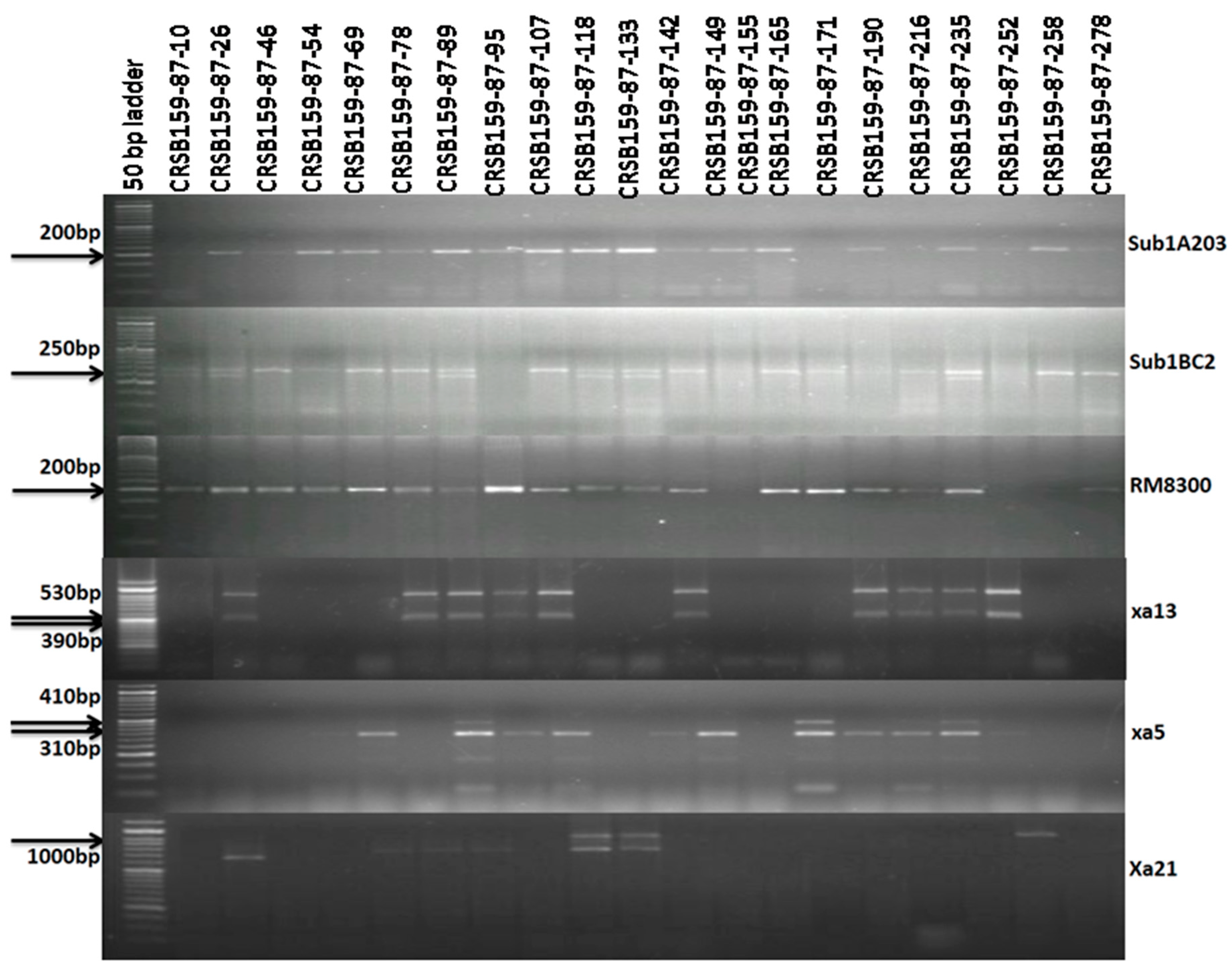 Biomolecules 13 00198 g005 Biomolecules 13 00198 g005