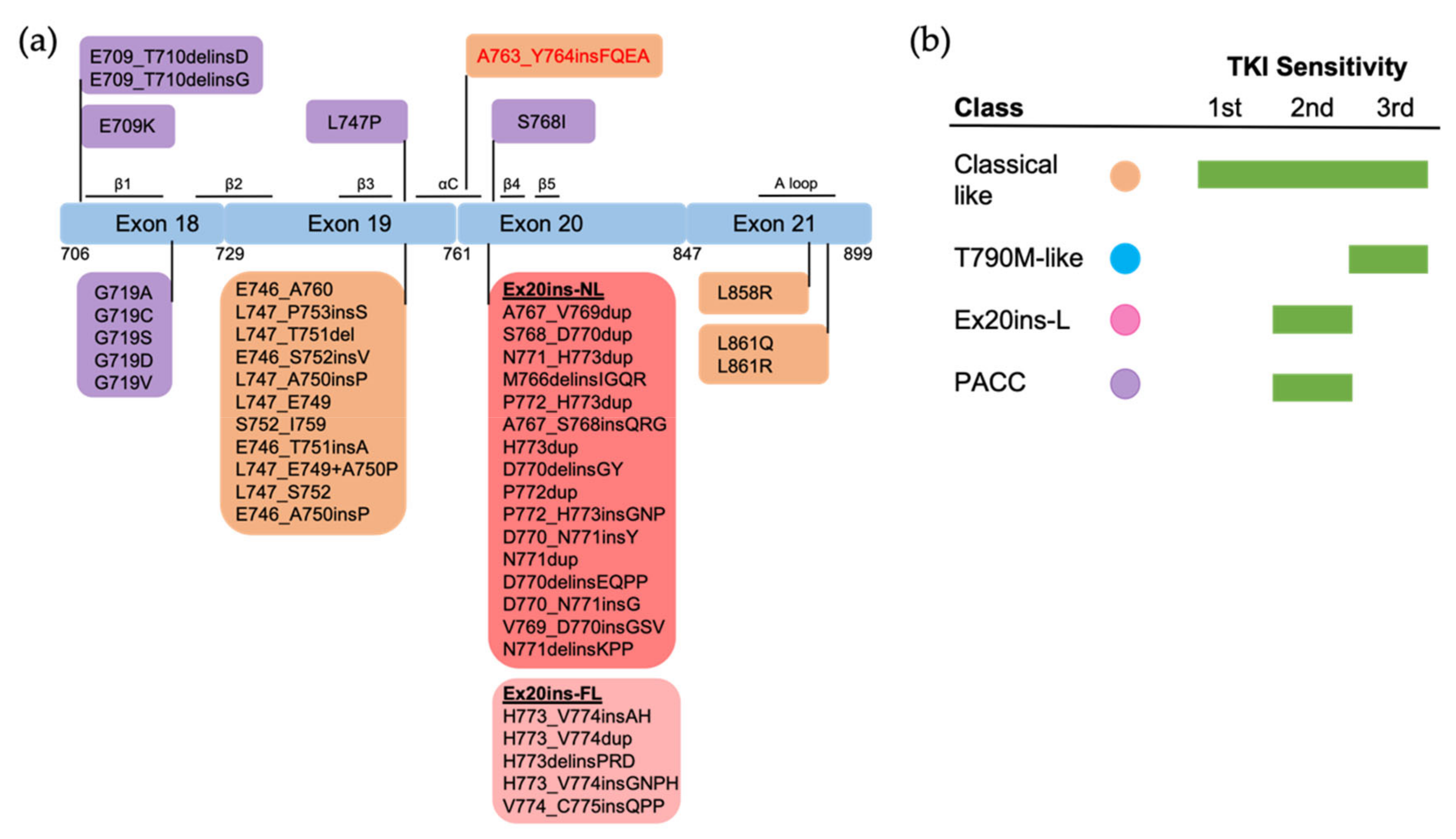 Biomolecules | Free Full-Text | Structure-Guided Strategies of Targeted ...