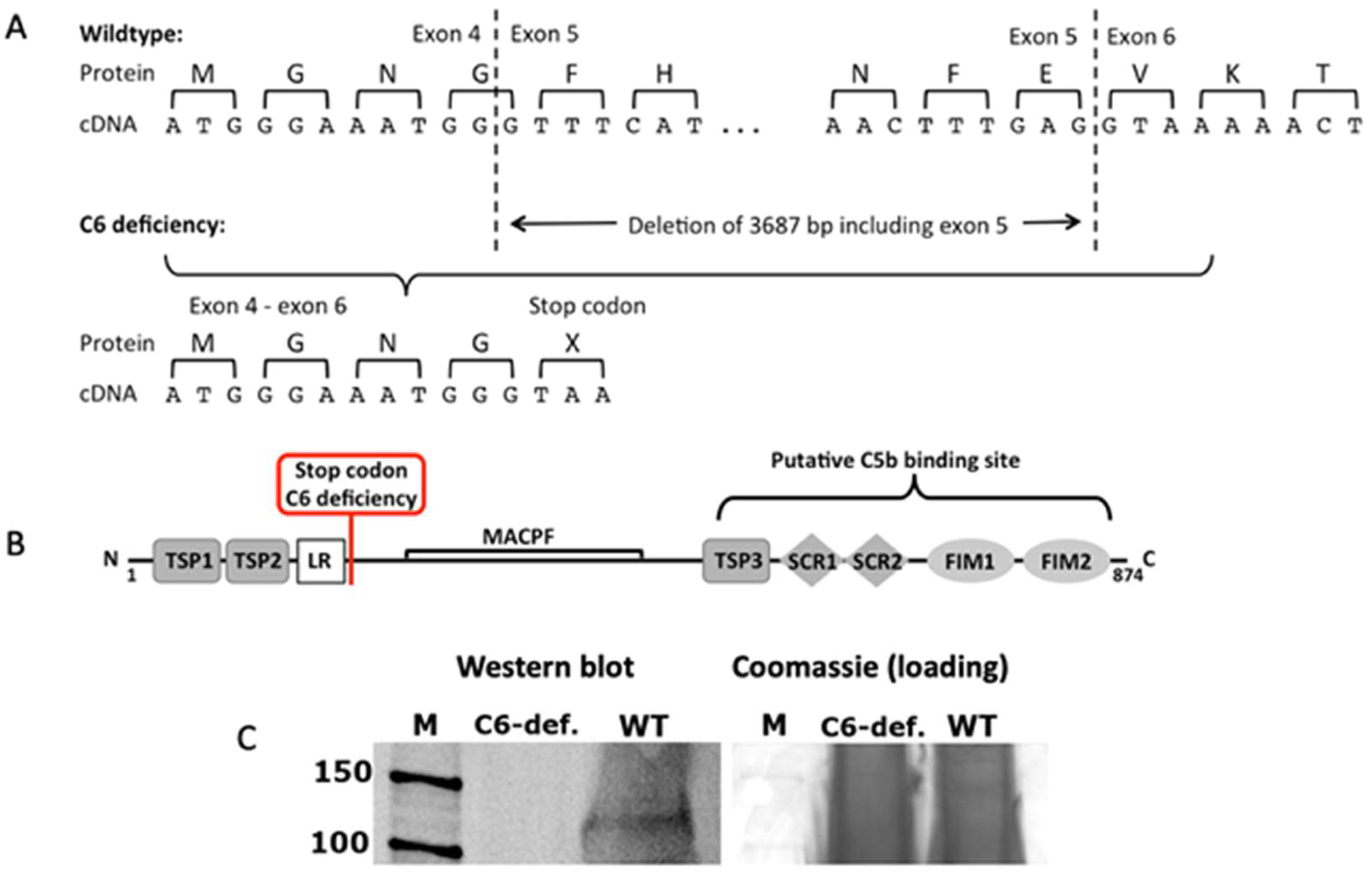 Biomolecules 13 00216 g001