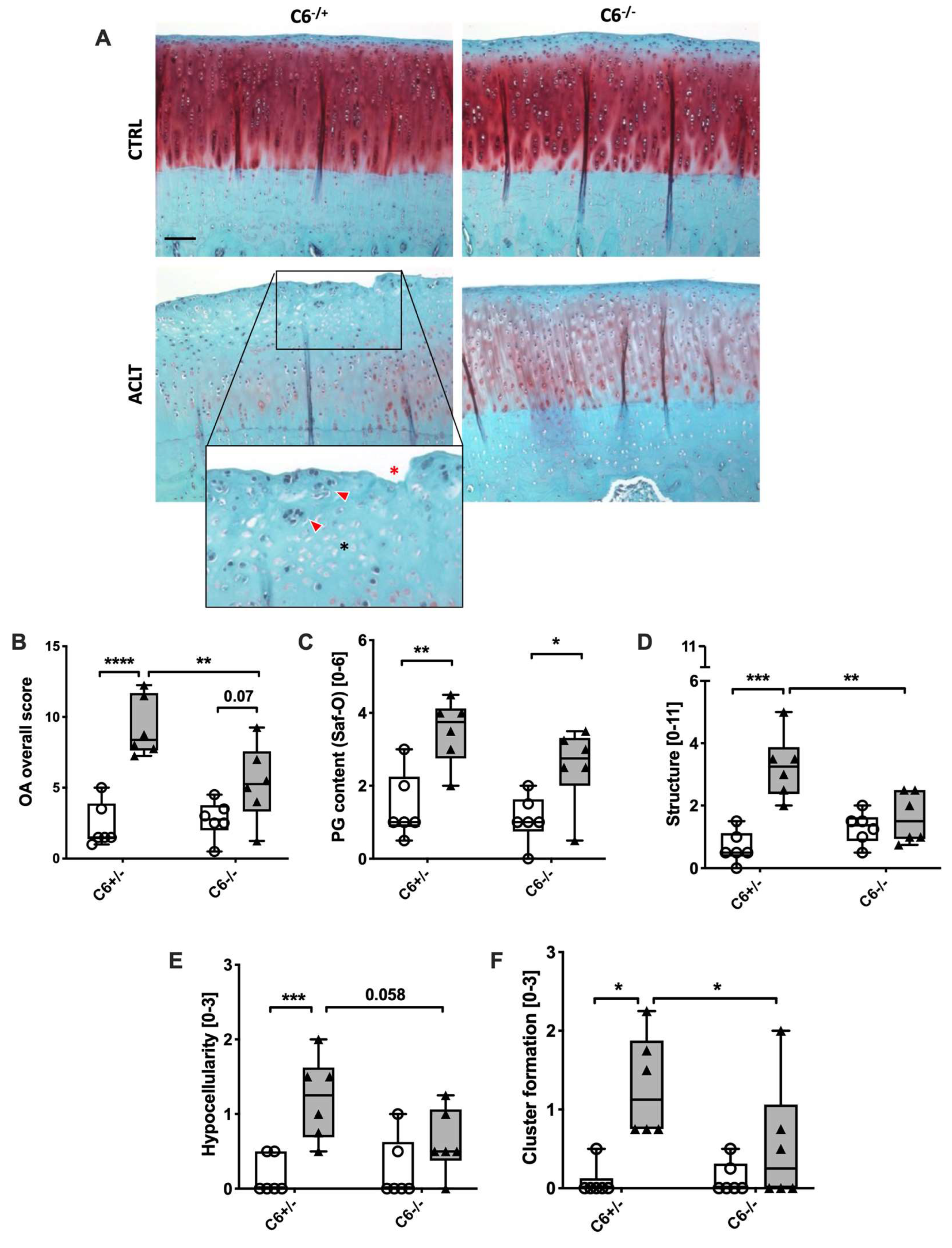 Biomolecules 13 00216 g003