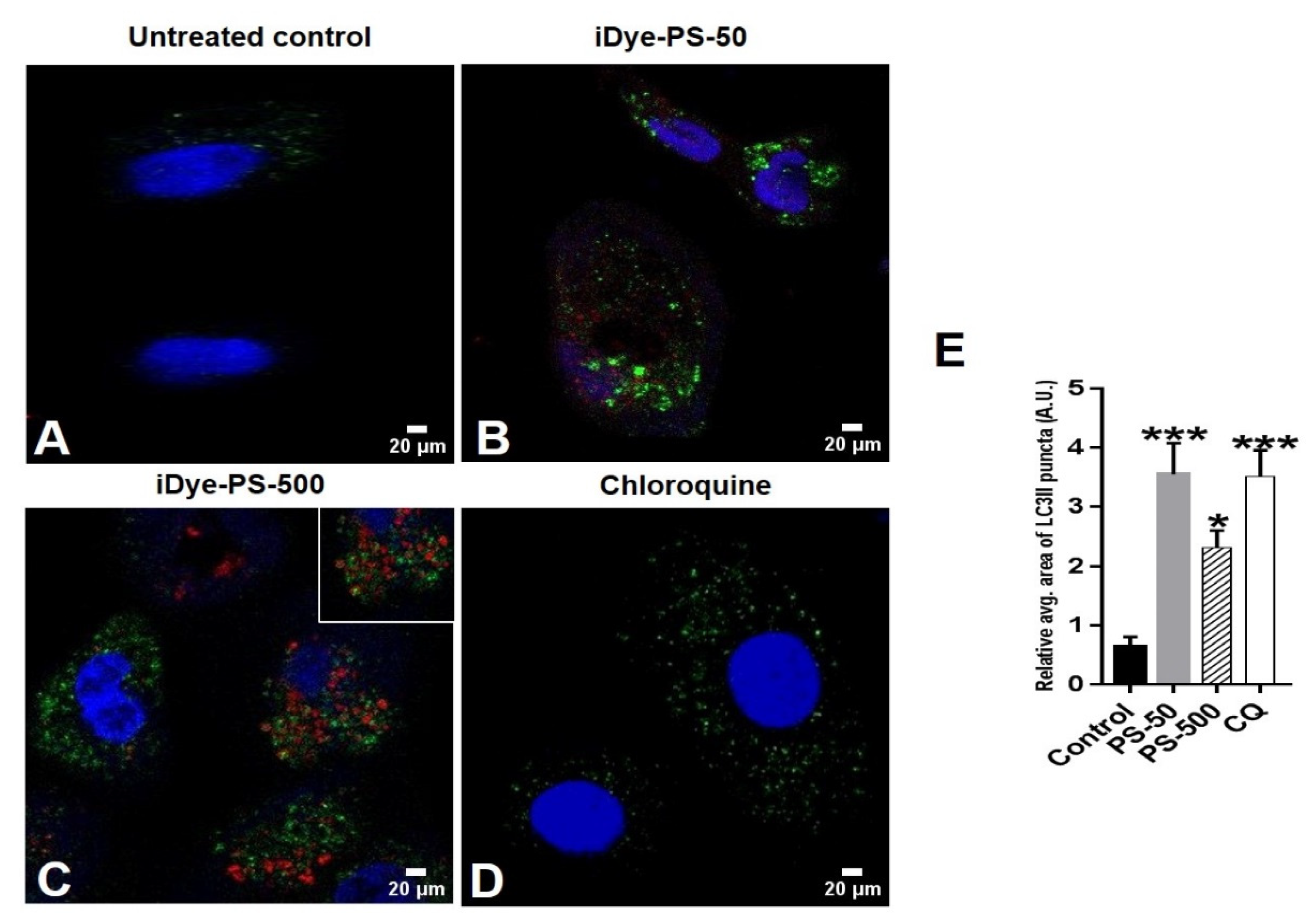 Biomolecules 13 00220 g007 Biomolecules 13 00220 g007