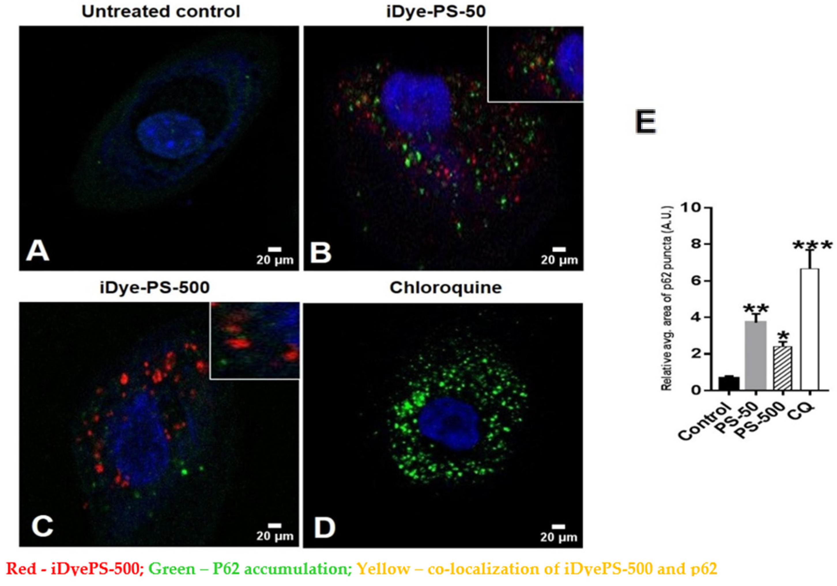 Biomolecules 13 00220 g008 Biomolecules 13 00220 g008