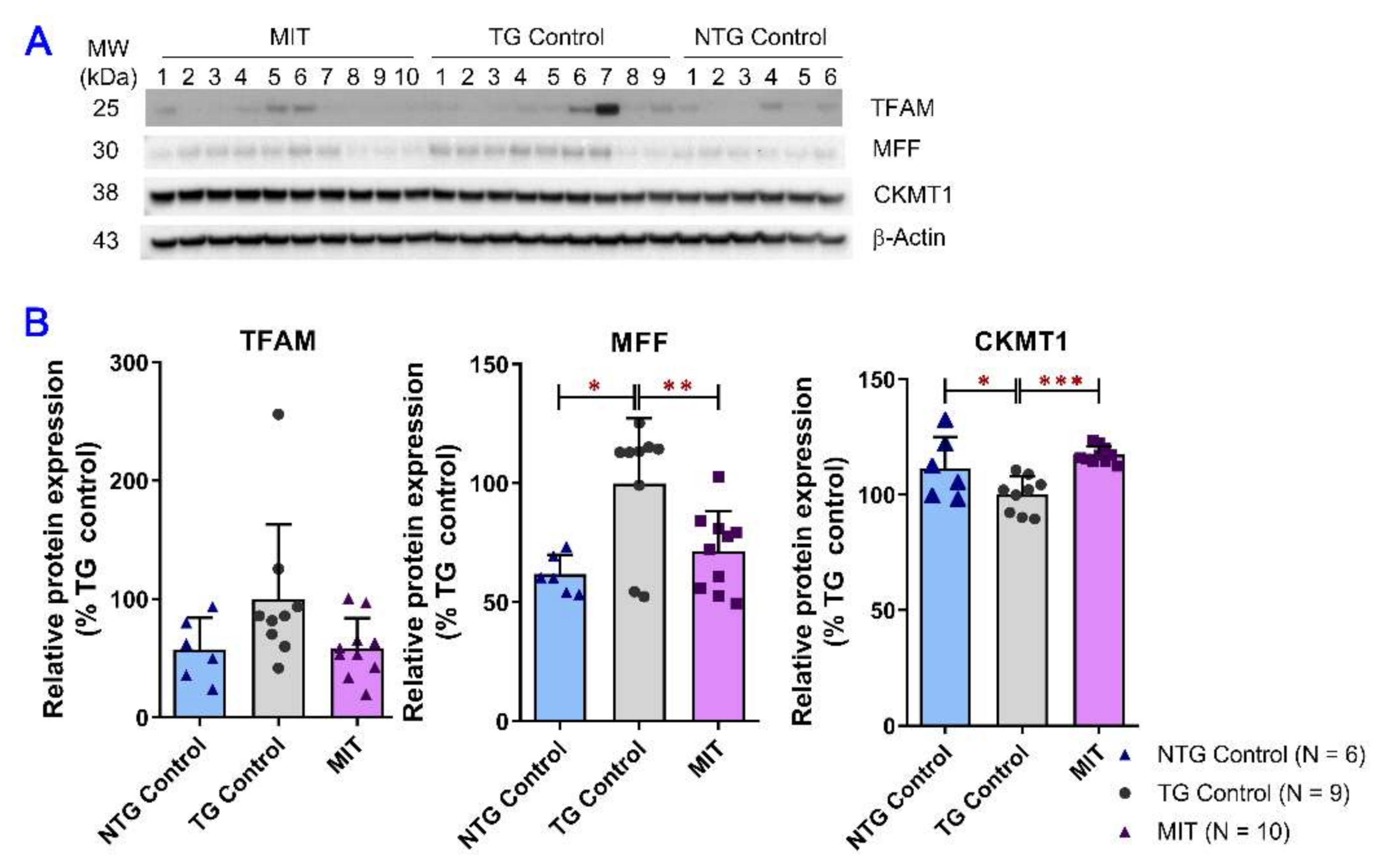 Biomolecules 13 00232 g004 Biomolecules 13 00232 g004