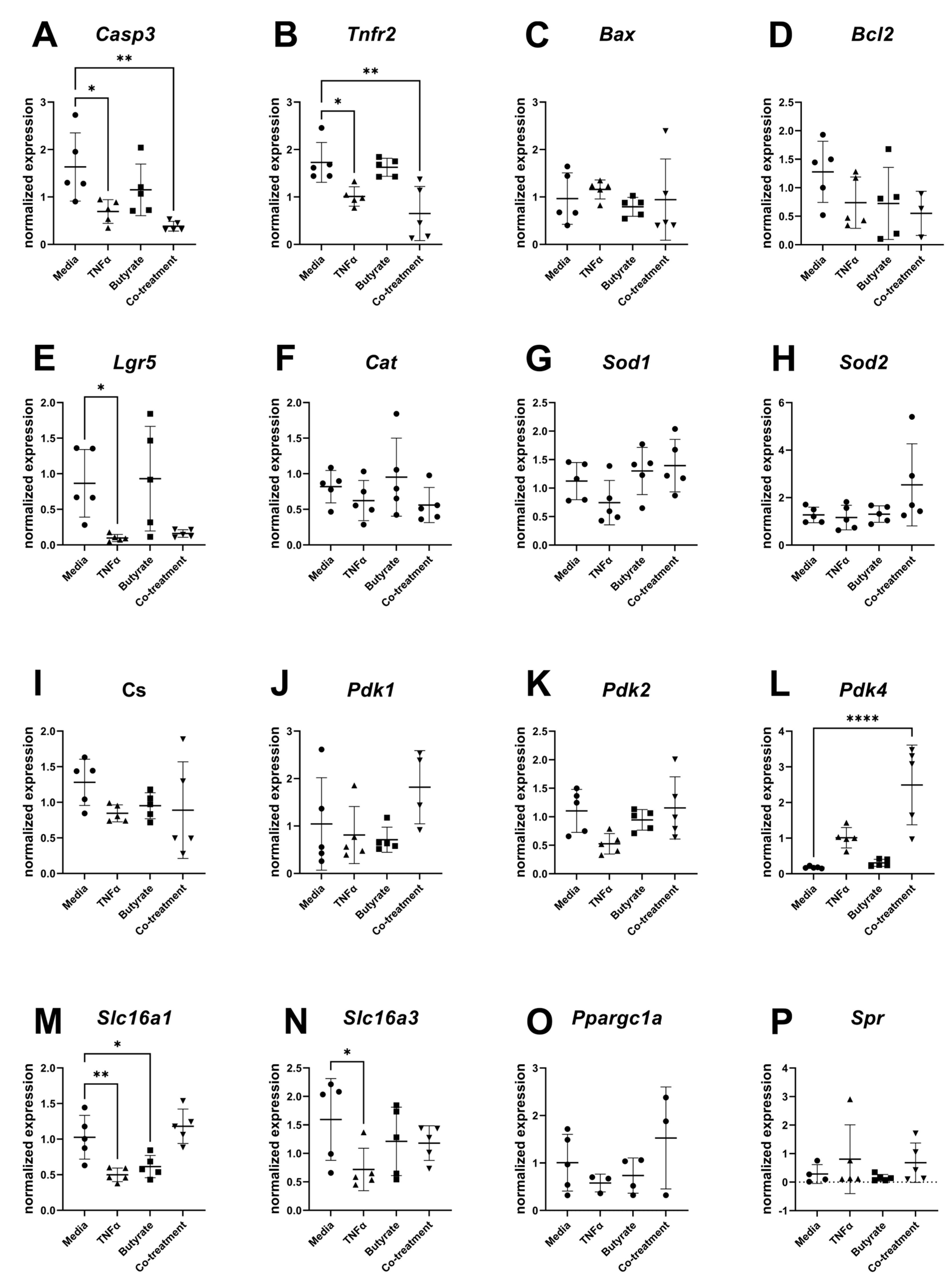 Biomolecules 13 00258 g010 Biomolecules 13 00258 g010