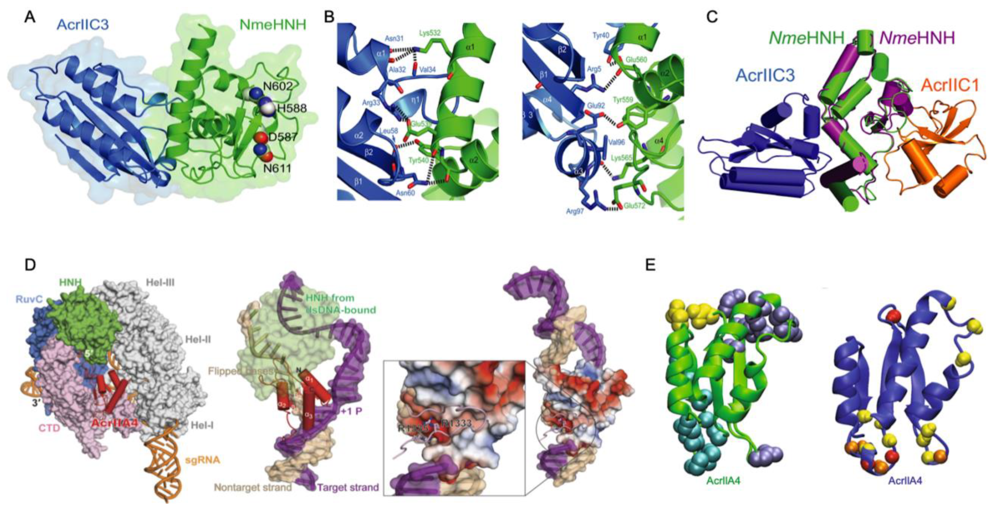 Biomolecules 13 00264 g001 Biomolecules 13 00264 g001