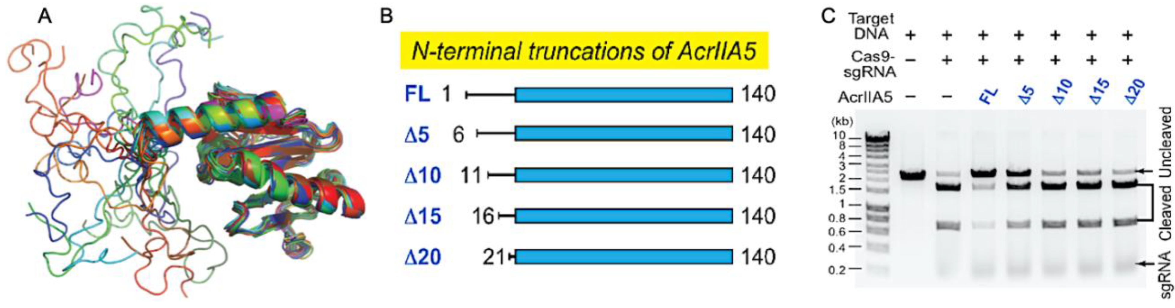 Biomolecules 13 00264 g002 Biomolecules 13 00264 g002