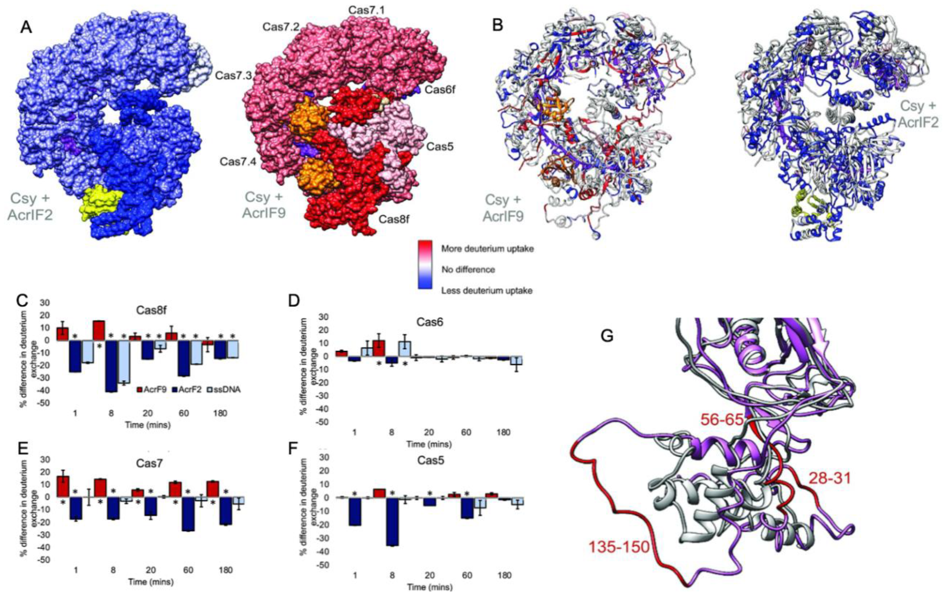Biomolecules 13 00264 g003 Biomolecules 13 00264 g003