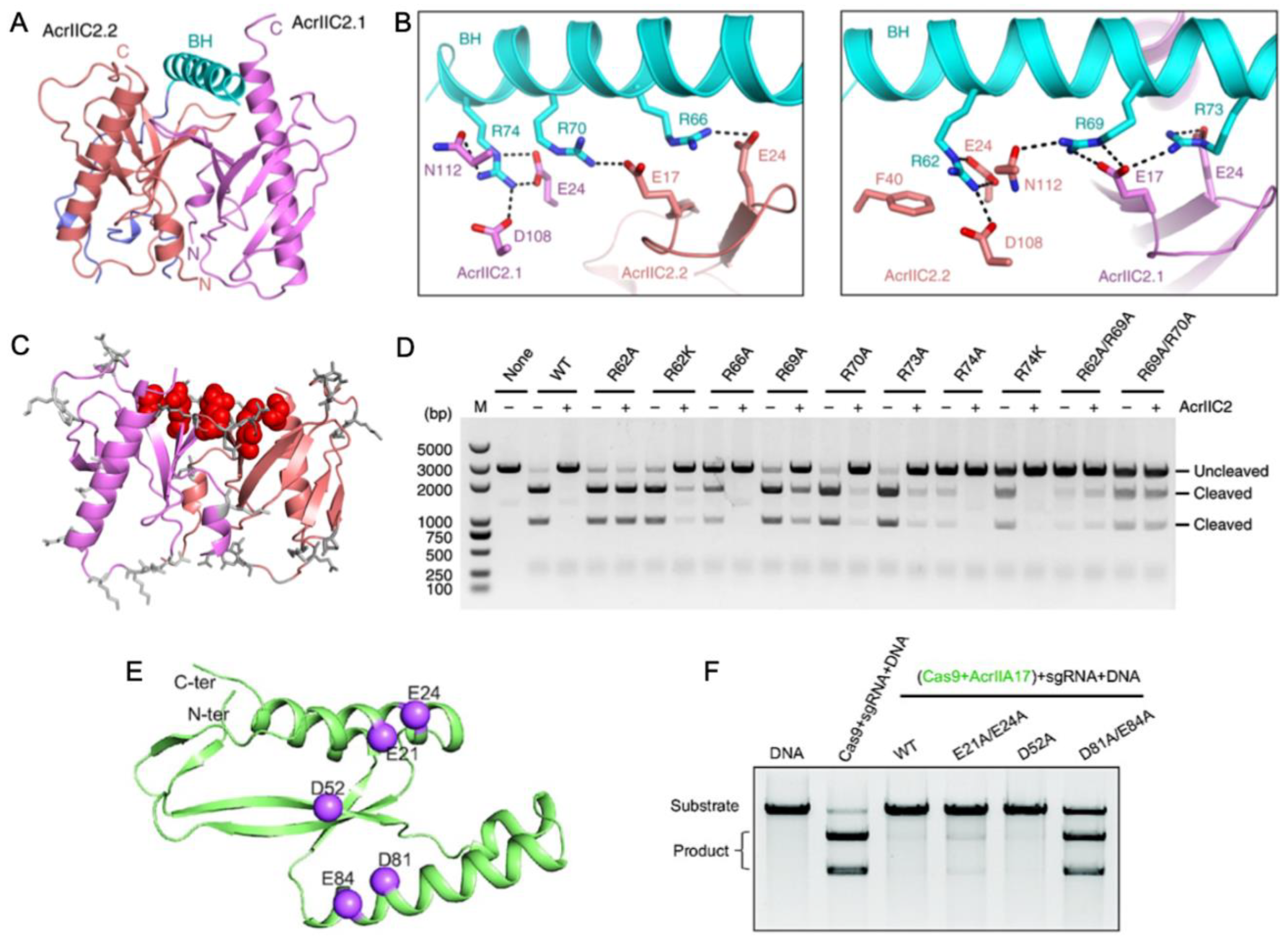Biomolecules 13 00264 g004 Biomolecules 13 00264 g004