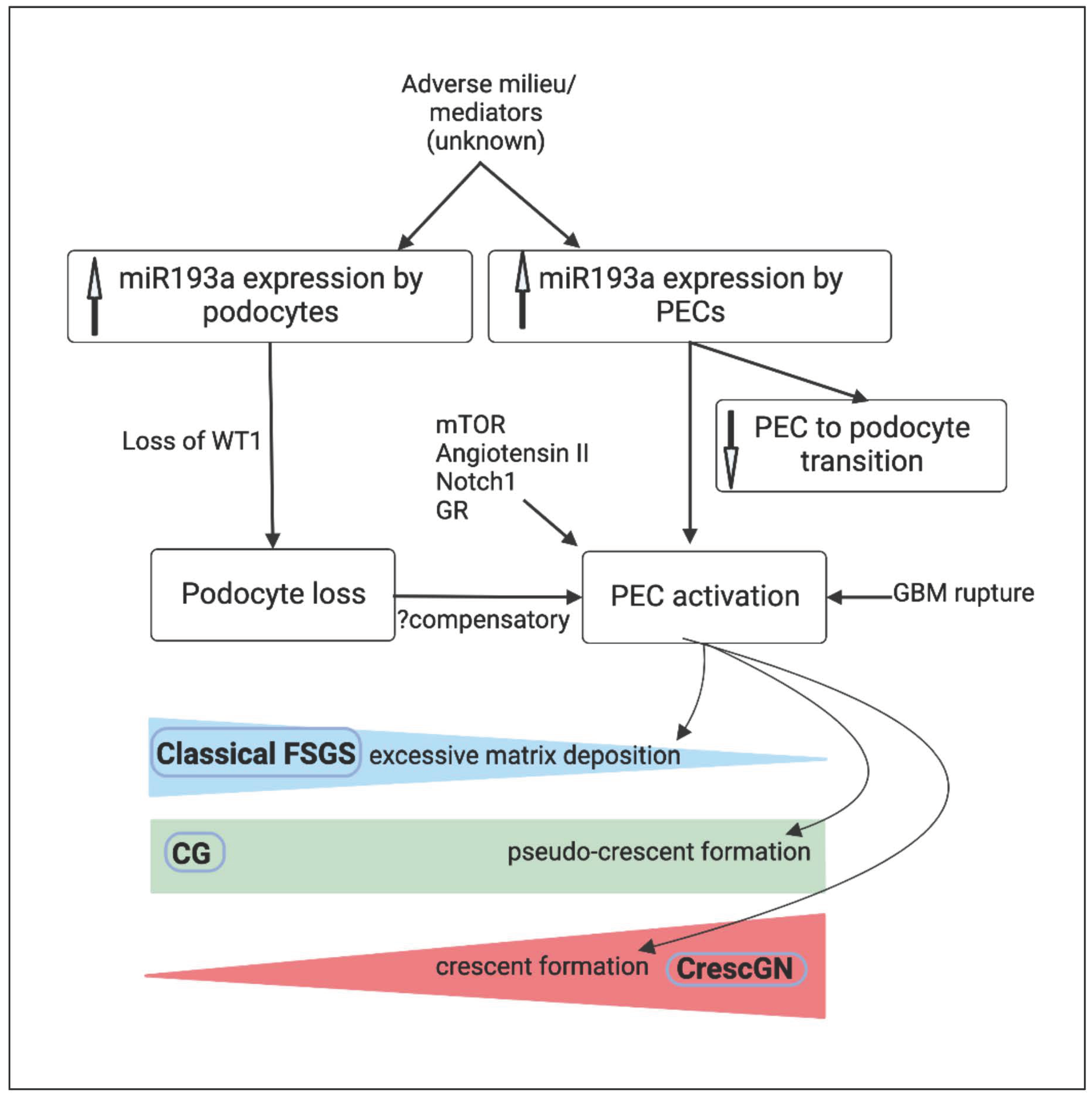 Biomolecules 13 00266 g003 Biomolecules 13 00266 g003