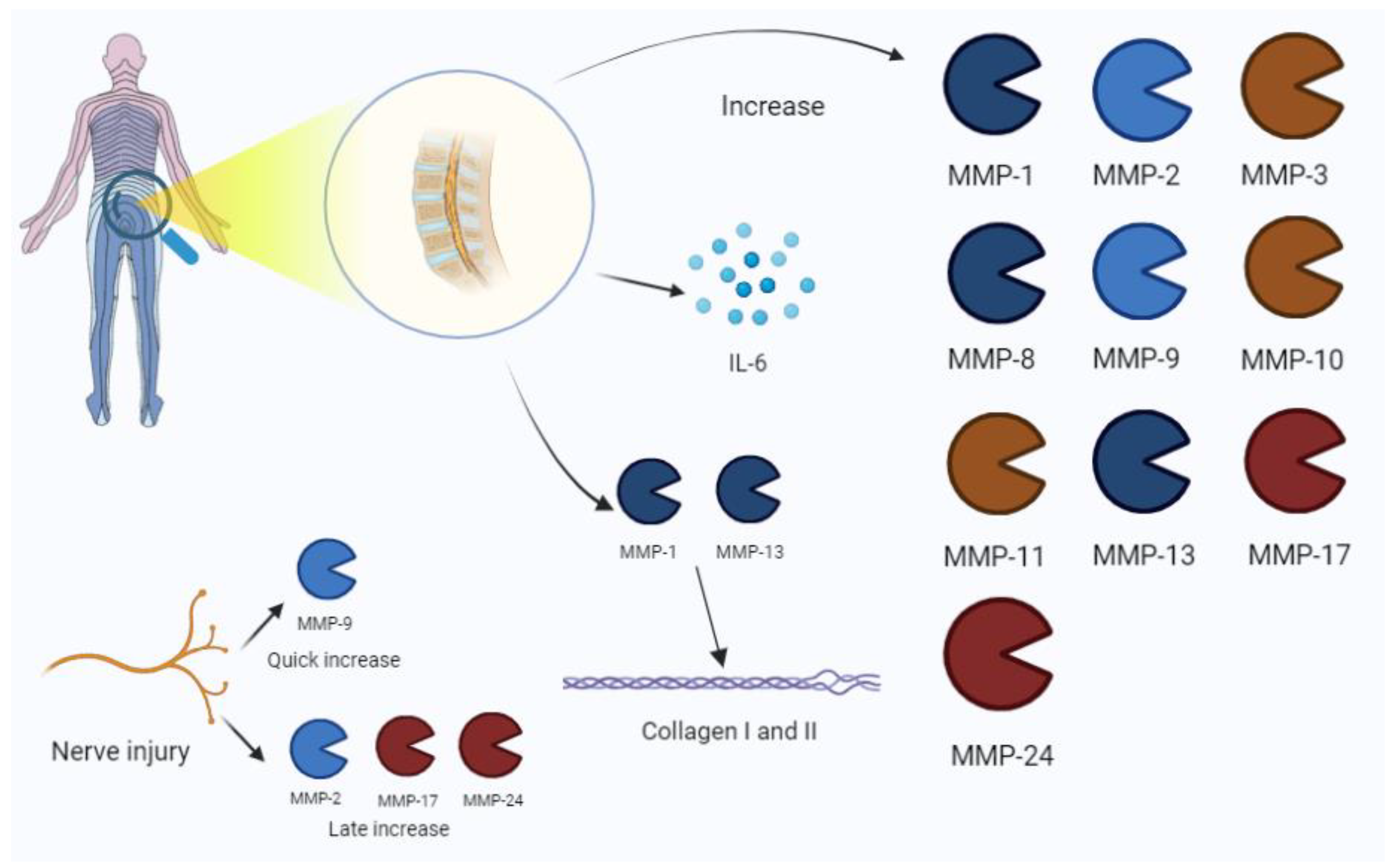 Biomolecules 13 00268 g005 Biomolecules 13 00268 g005