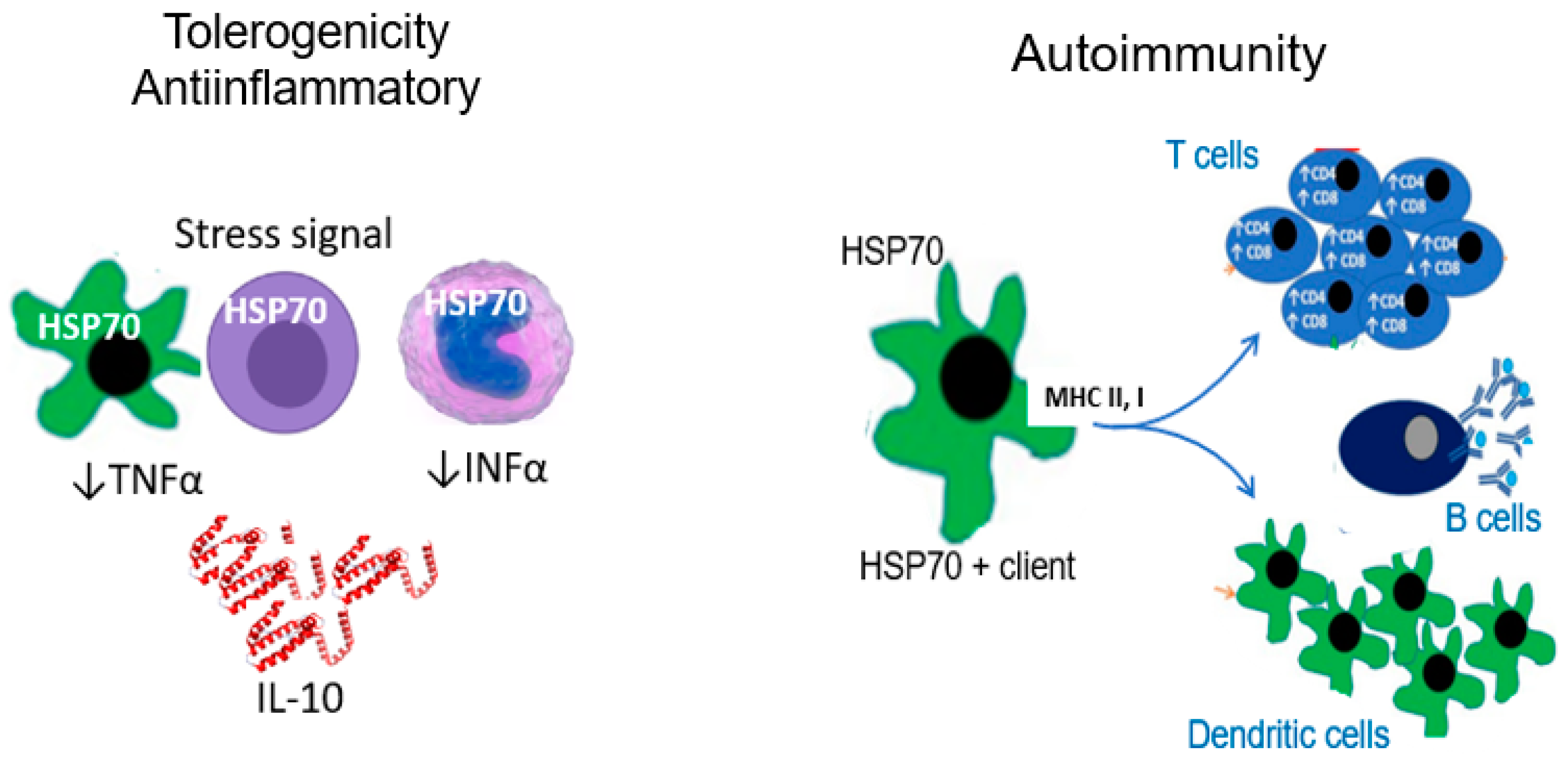 Biomolecules 13 00272 g001 Biomolecules 13 00272 g001