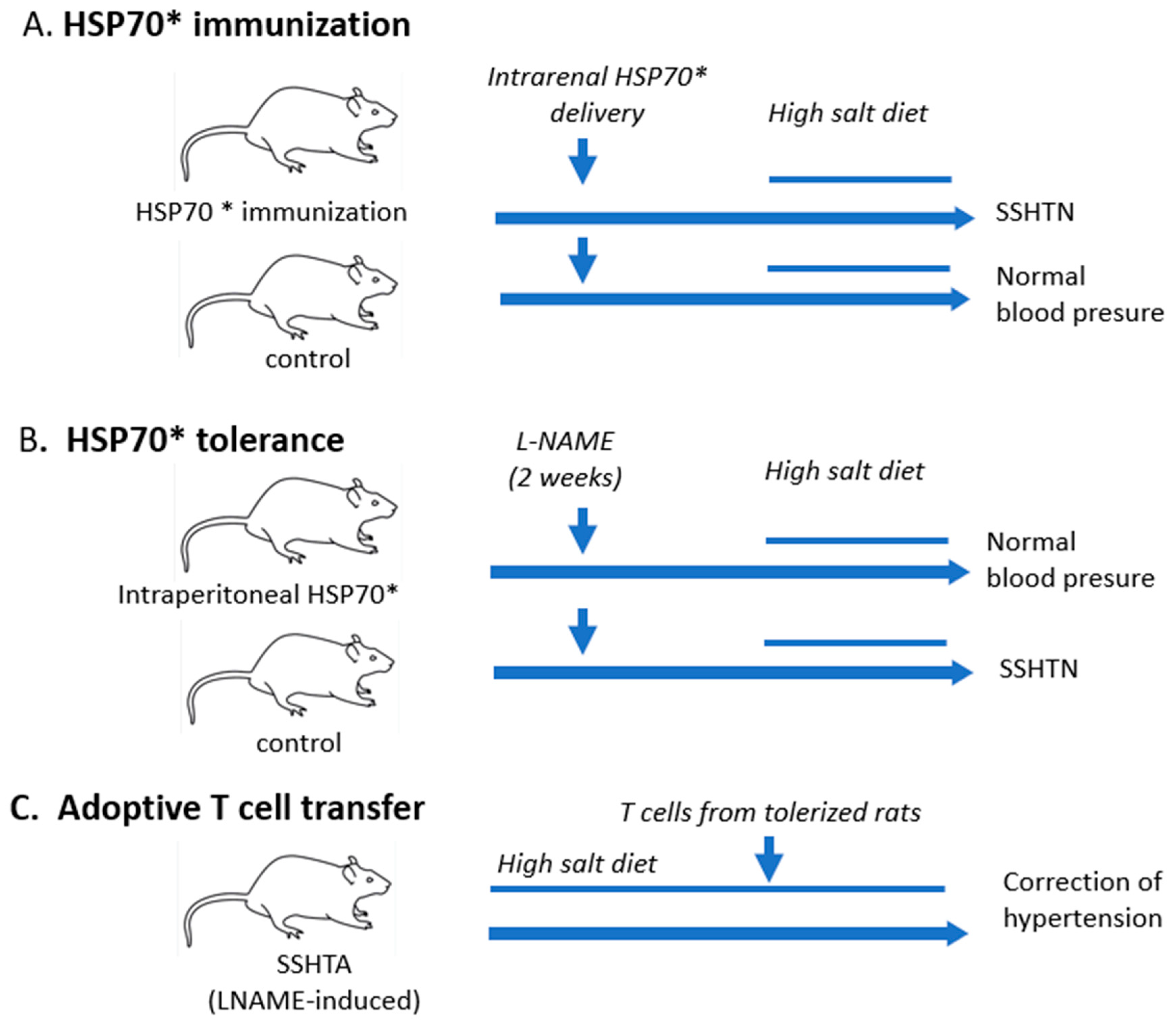 Biomolecules 13 00272 g003 Biomolecules 13 00272 g003