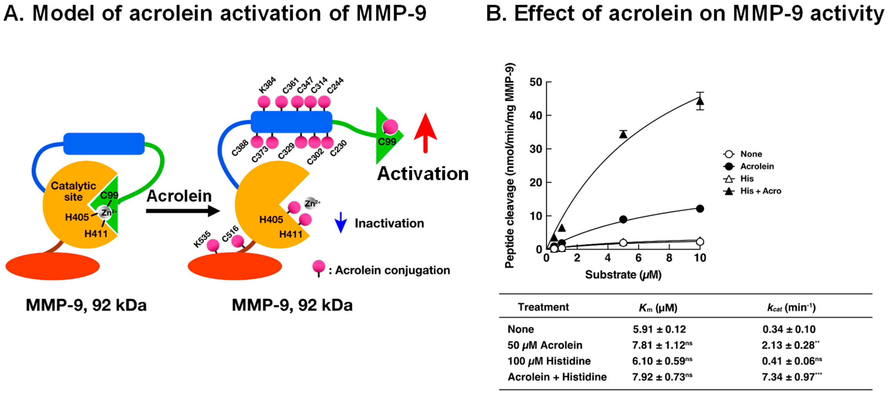 Biomolecules 13 00298 g006 Biomolecules 13 00298 g006