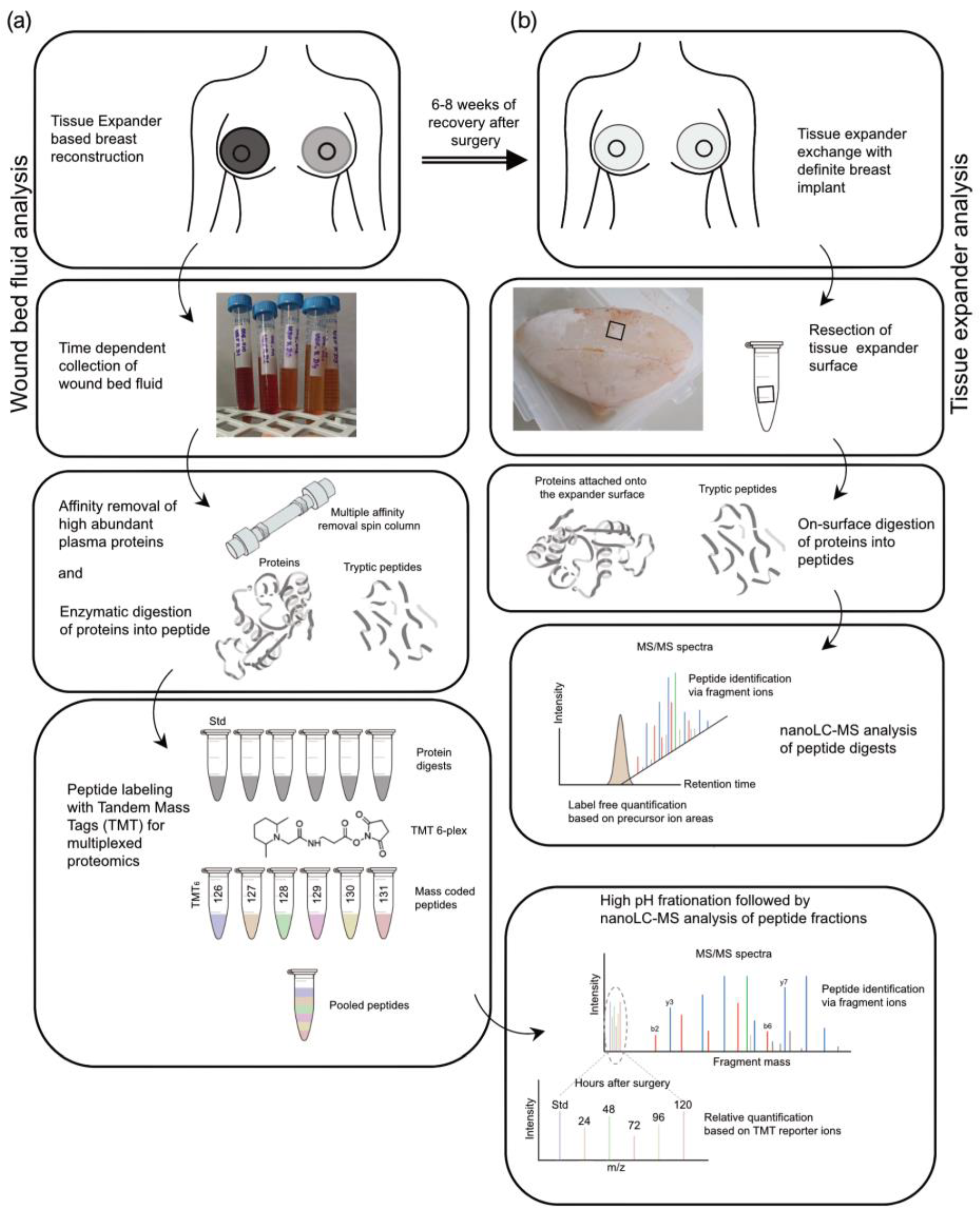 Biomolecules 13 00305 g002