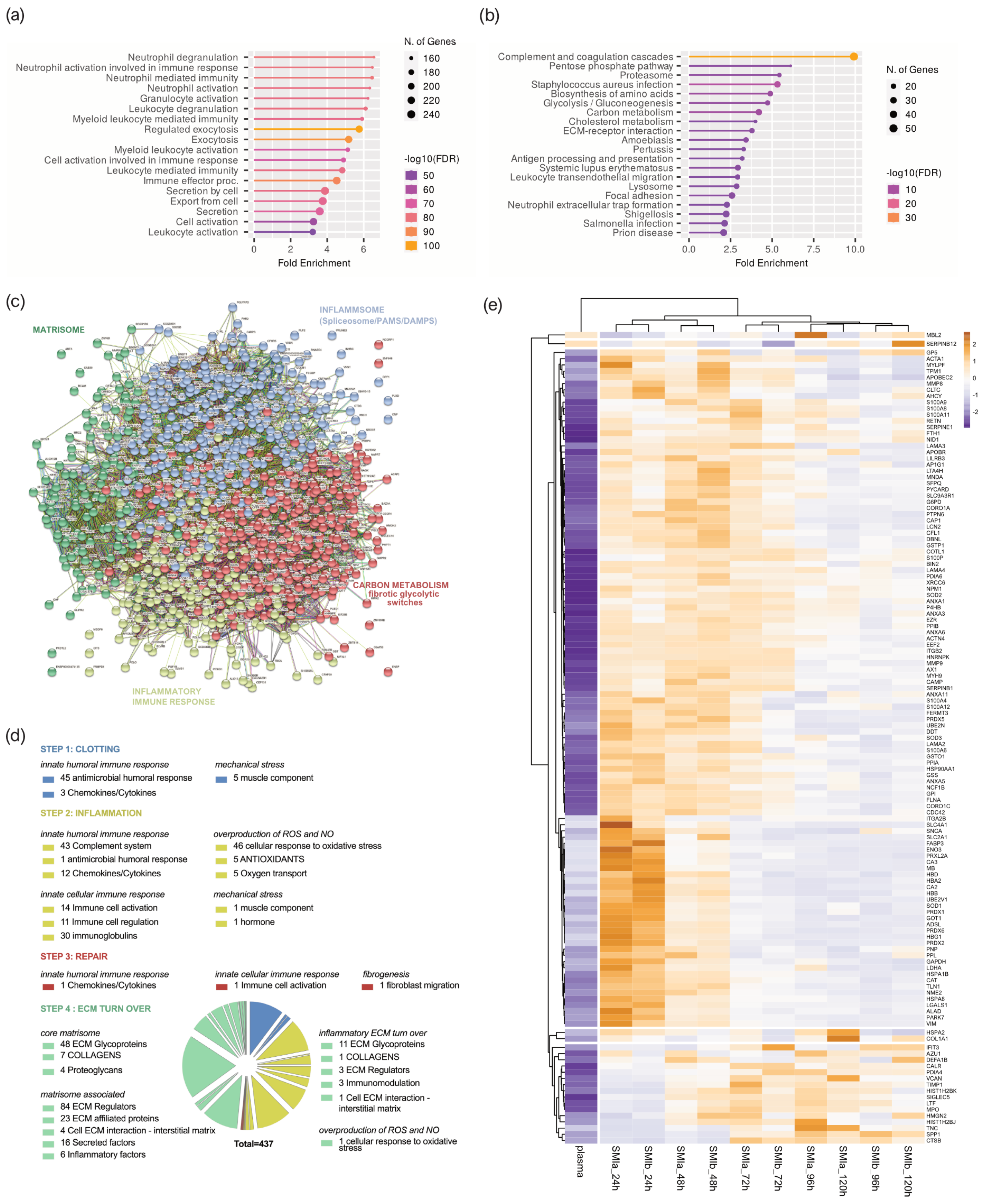 Biomolecules 13 00305 g004