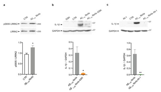 Biomolecules | Free Full-Text | LRRK2 Kinase Inhibition Attenuates ...