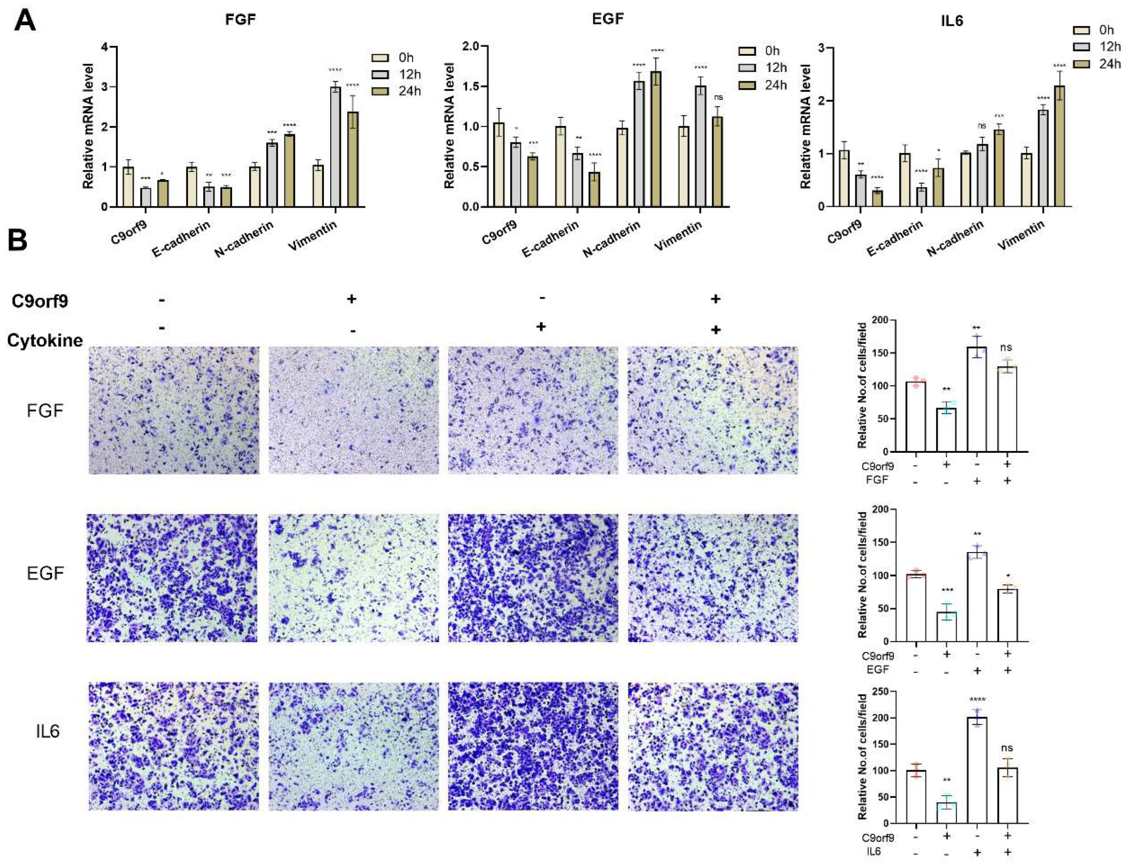 Biomolecules 13 00312 g006 Biomolecules 13 00312 g006