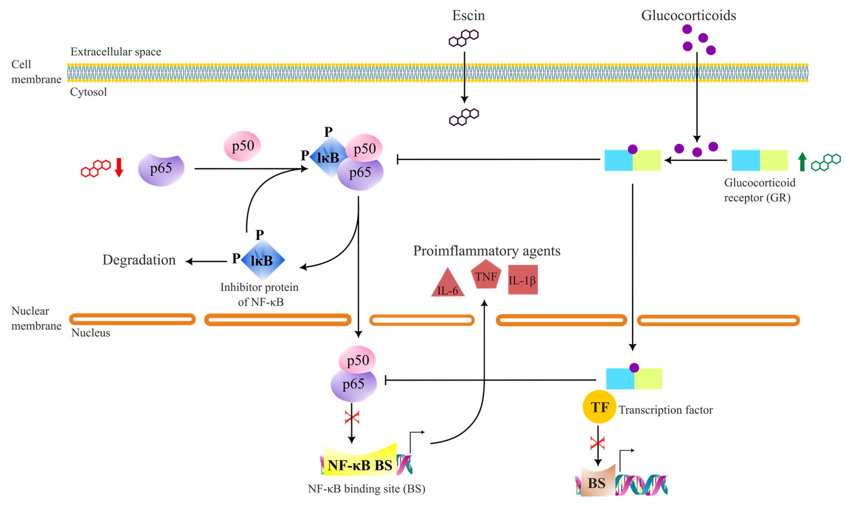 Biomolecules 13 00315 g003