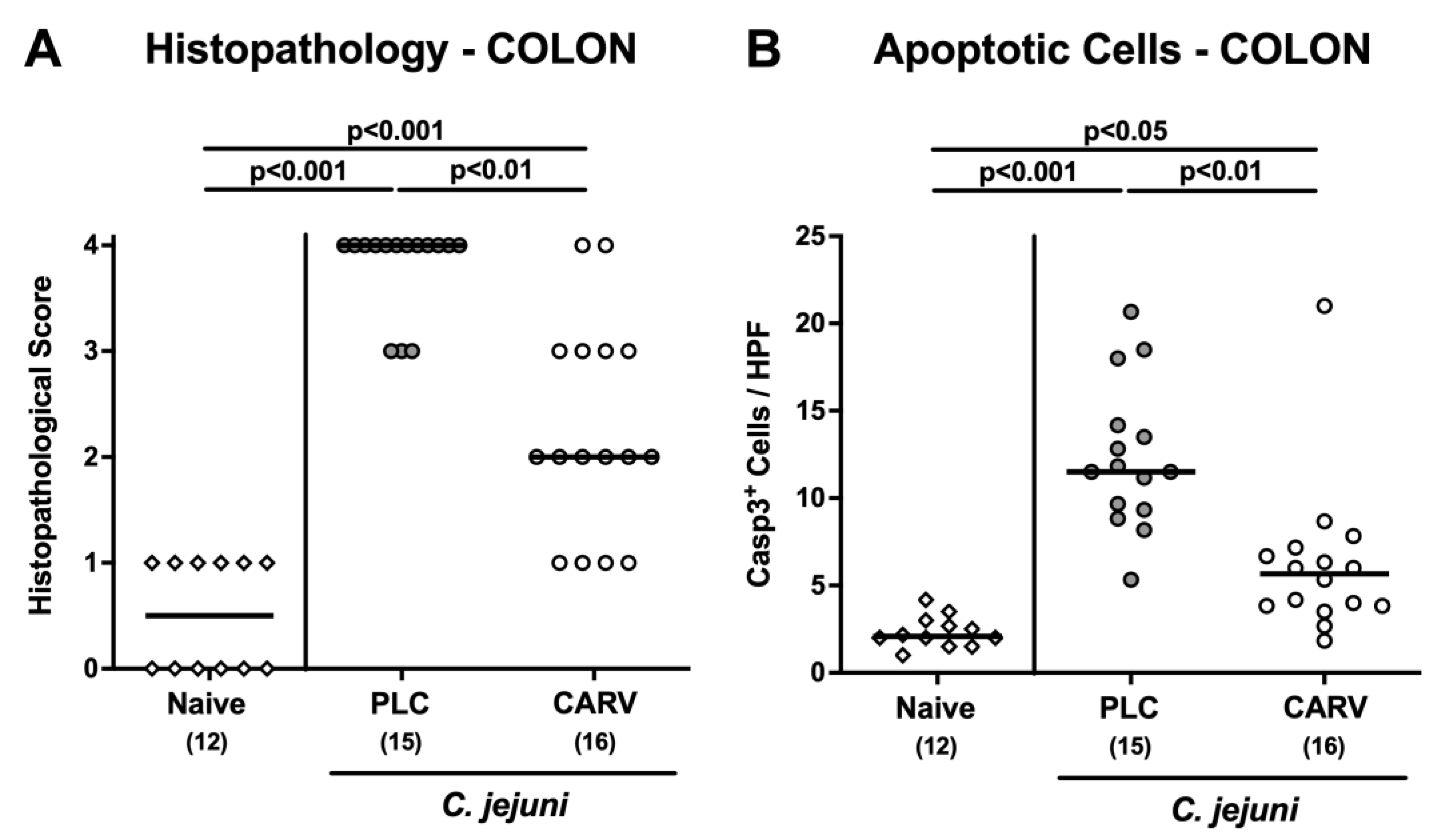Biomolecules 13 00320 g004