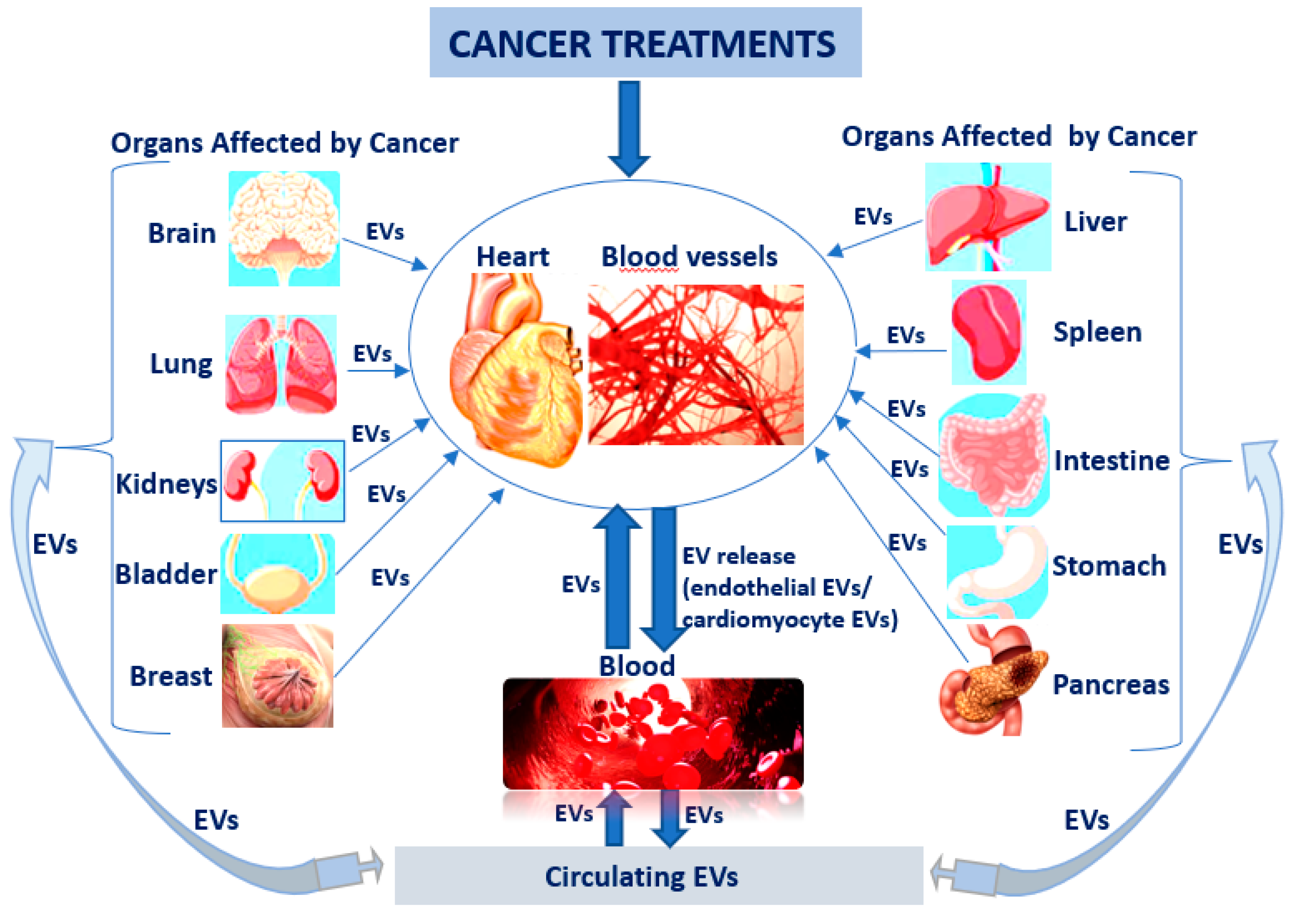 Biomolecules 13 00321 g002 Biomolecules 13 00321 g002