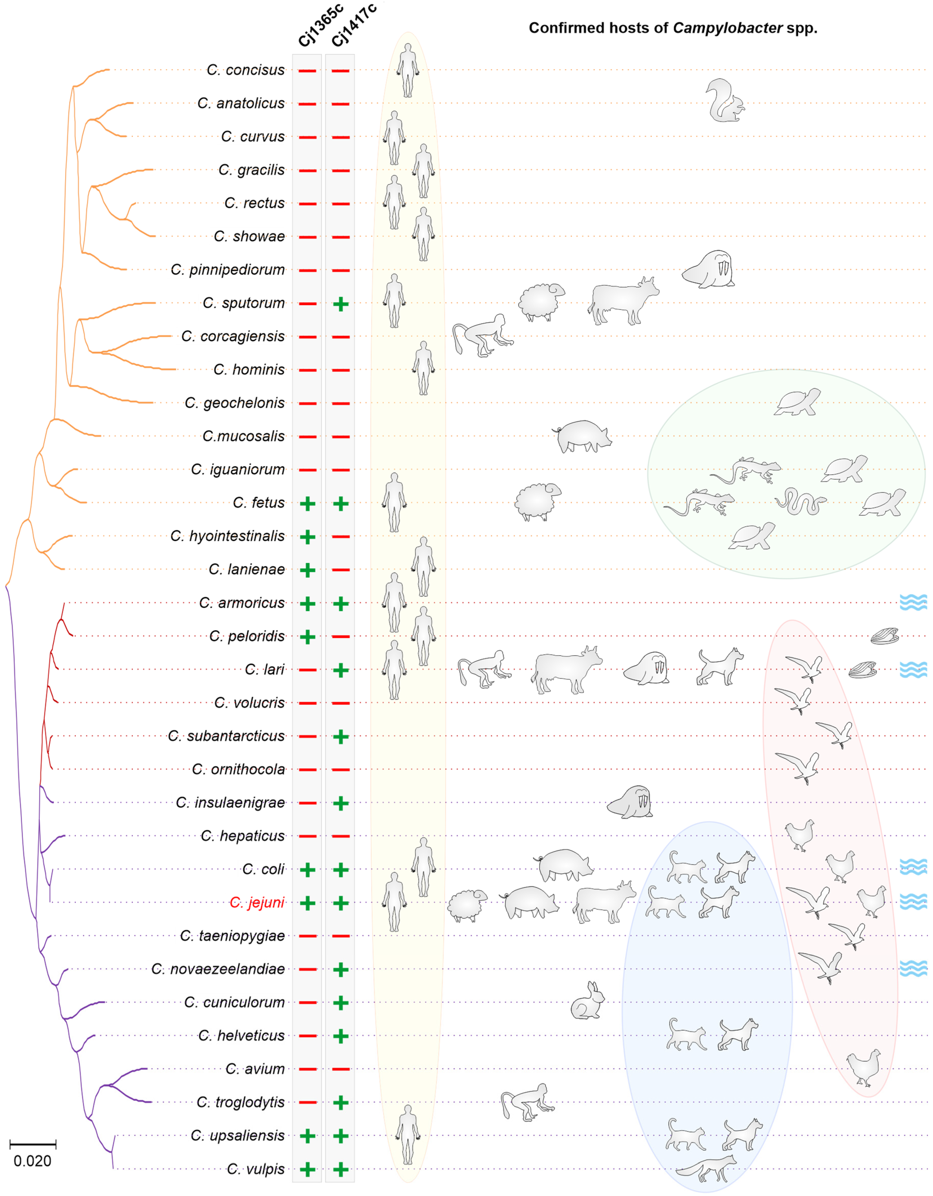 Biomolecules 13 00323 g003 Biomolecules 13 00323 g003