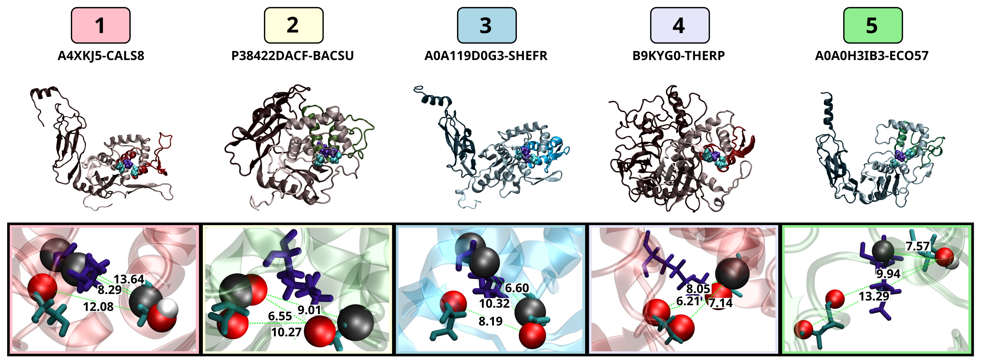 Biomolecules 13 00328 g013 Biomolecules 13 00328 g013