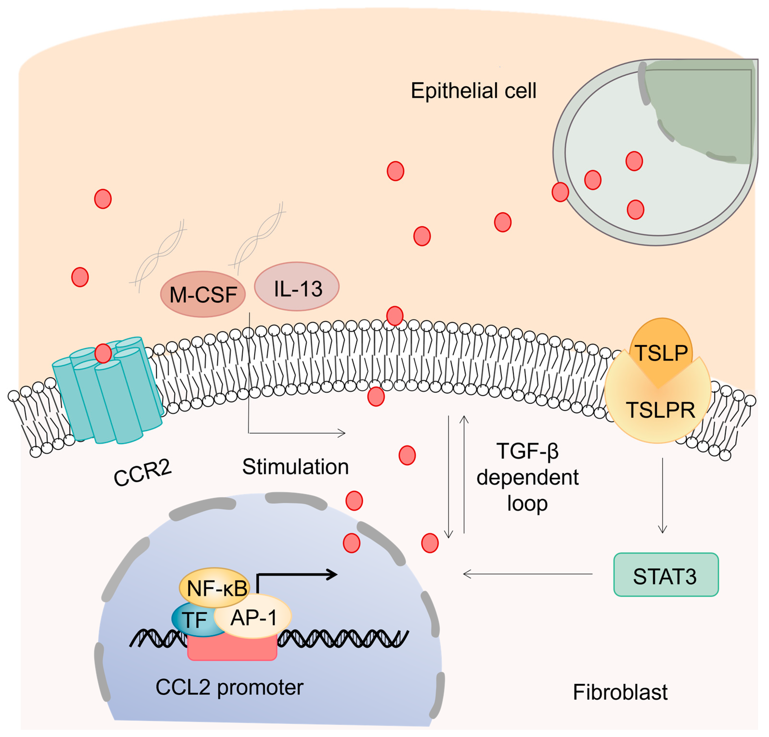 Biomolecules 13 00333 g002 Biomolecules 13 00333 g002
