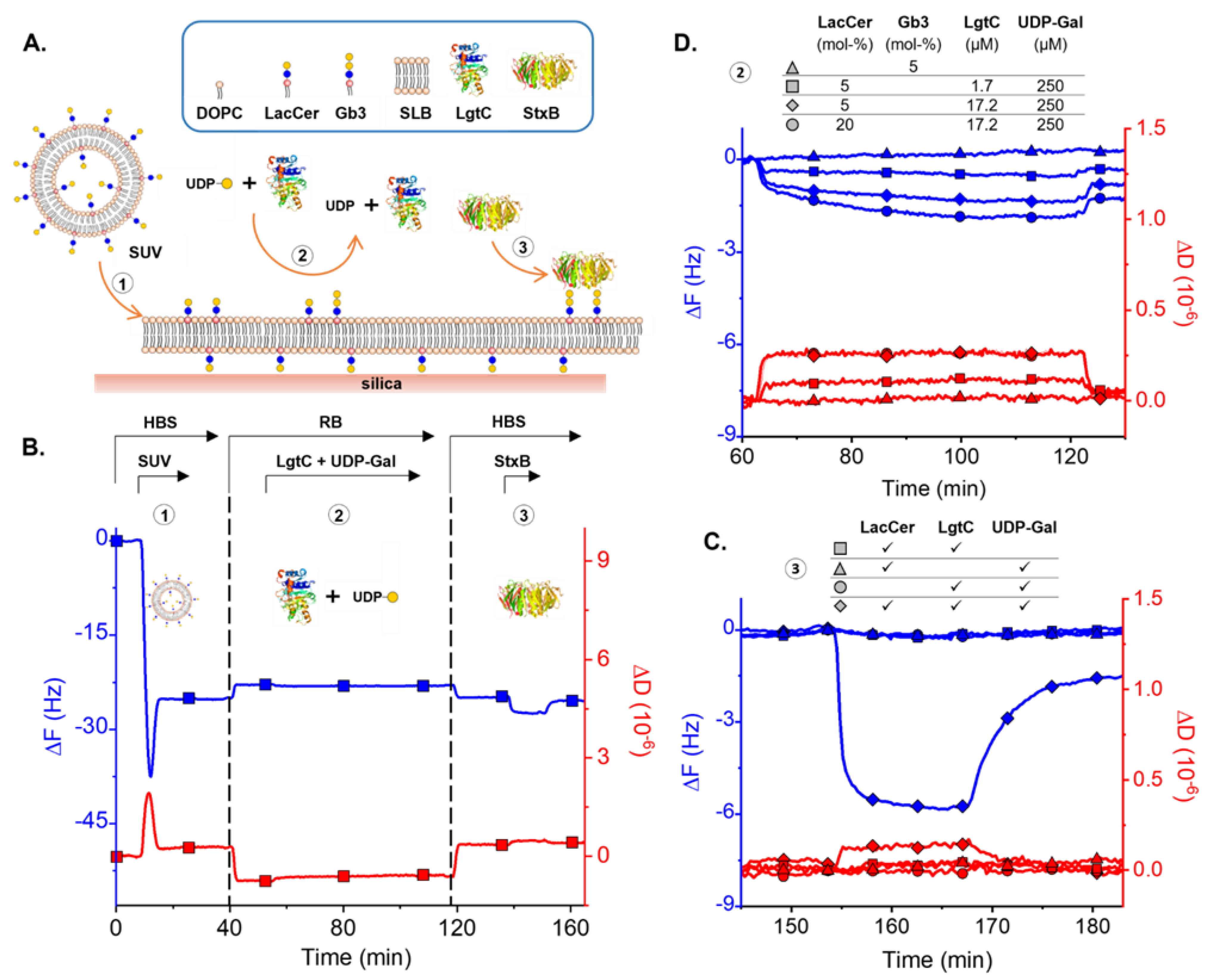Biomolecules 13 00335 g004
