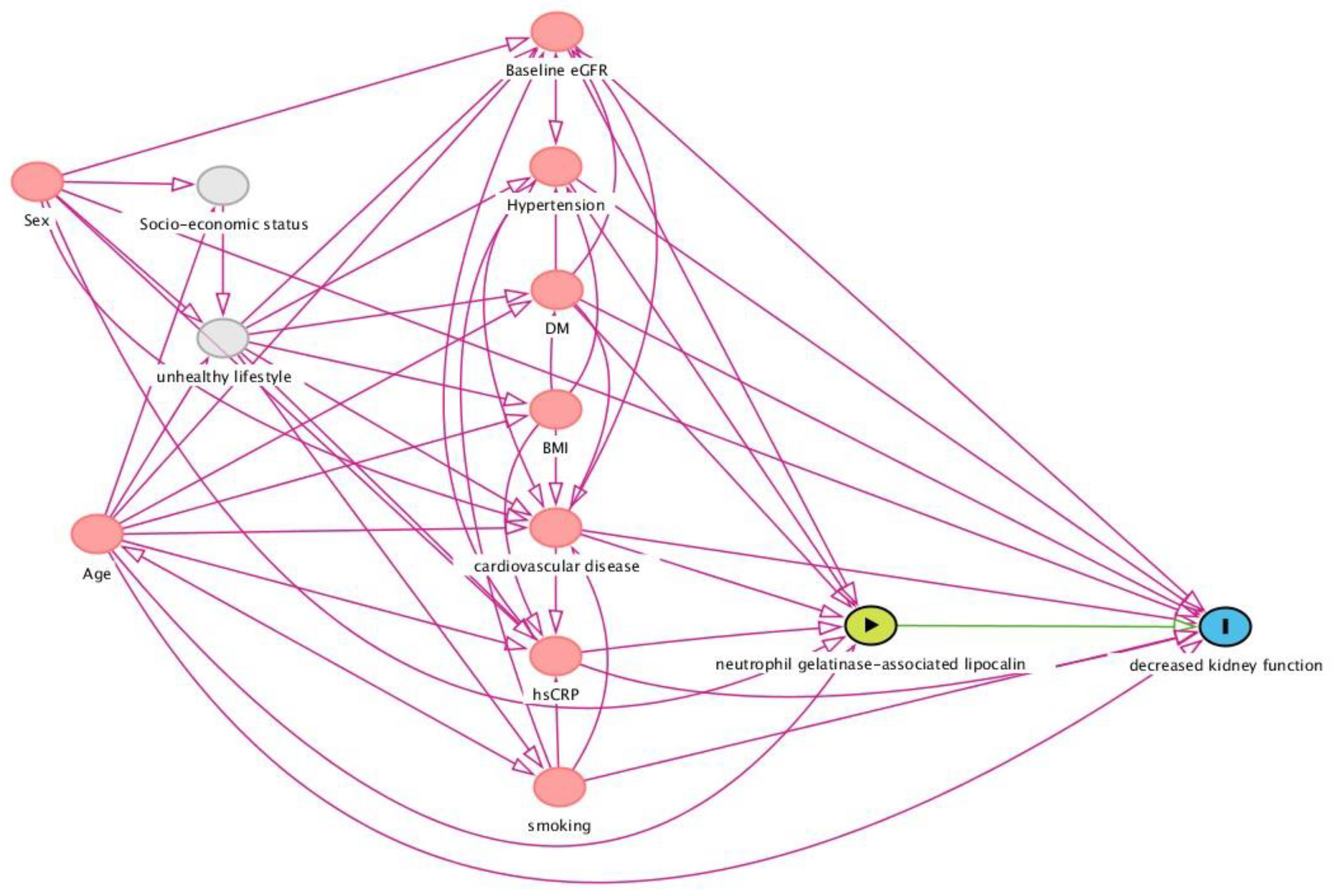 Urinary neutrophil gelatinase-associated lipocalin levels reflect