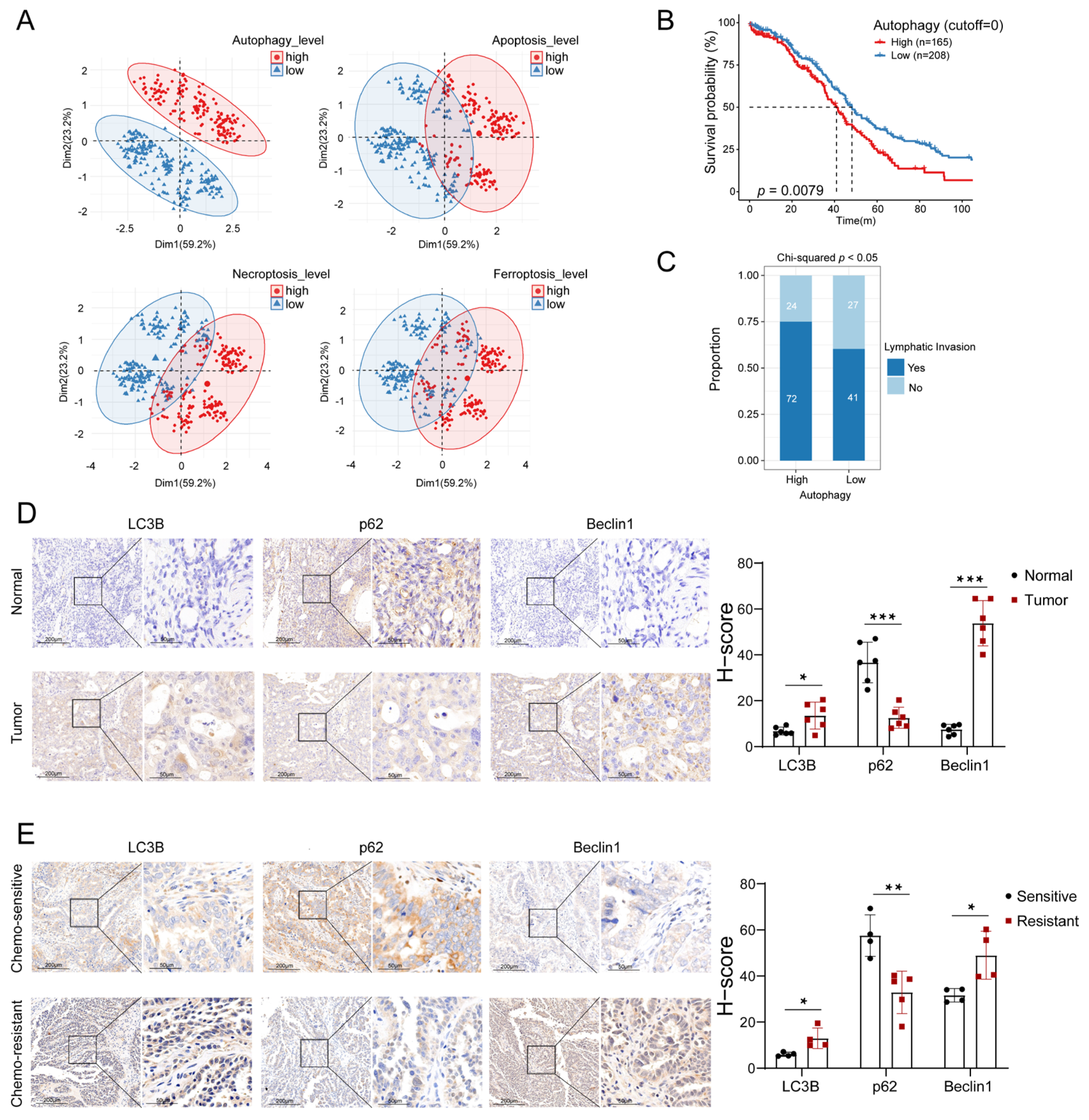 Biomolecules 13 00339 g001