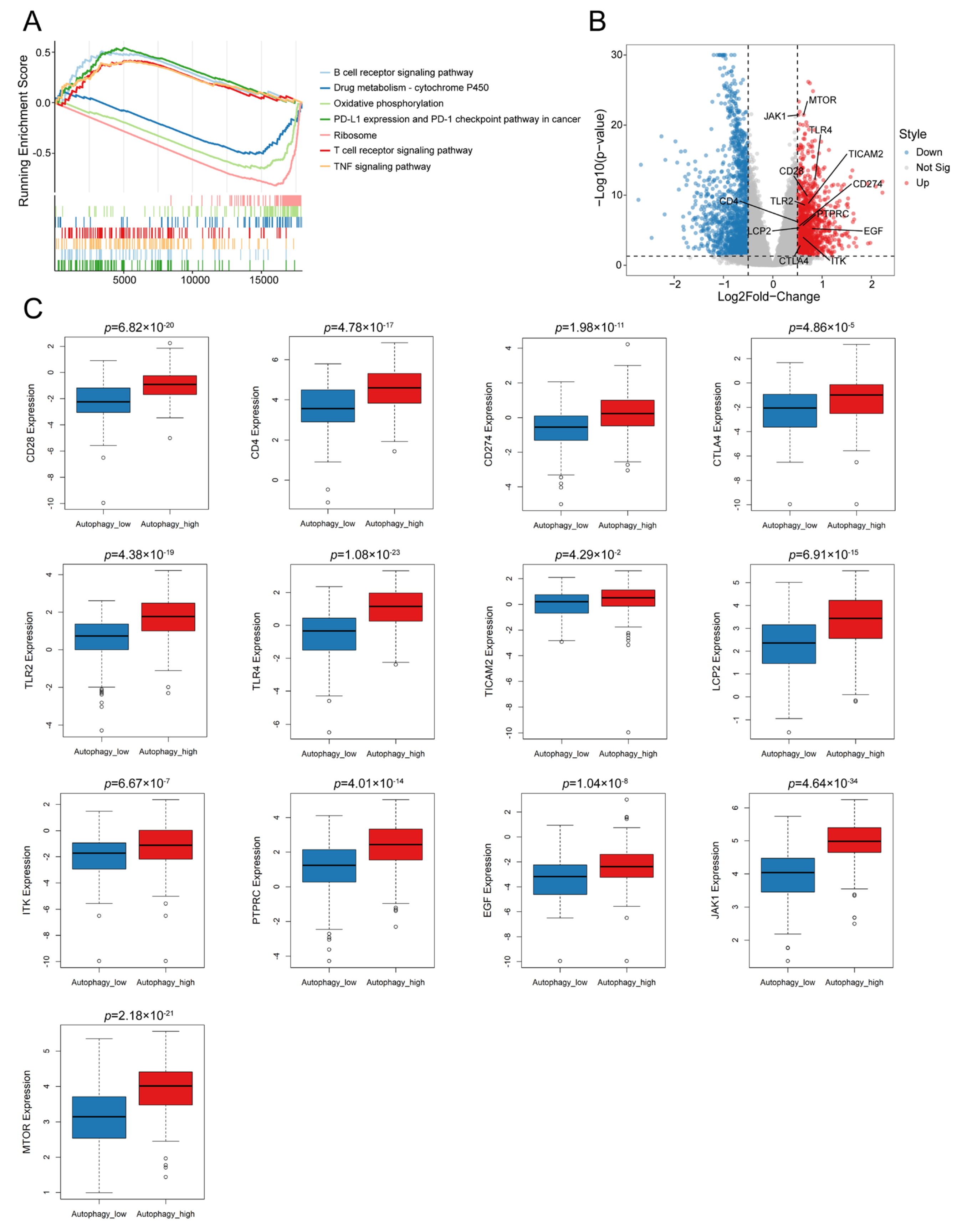 Biomolecules 13 00339 g002