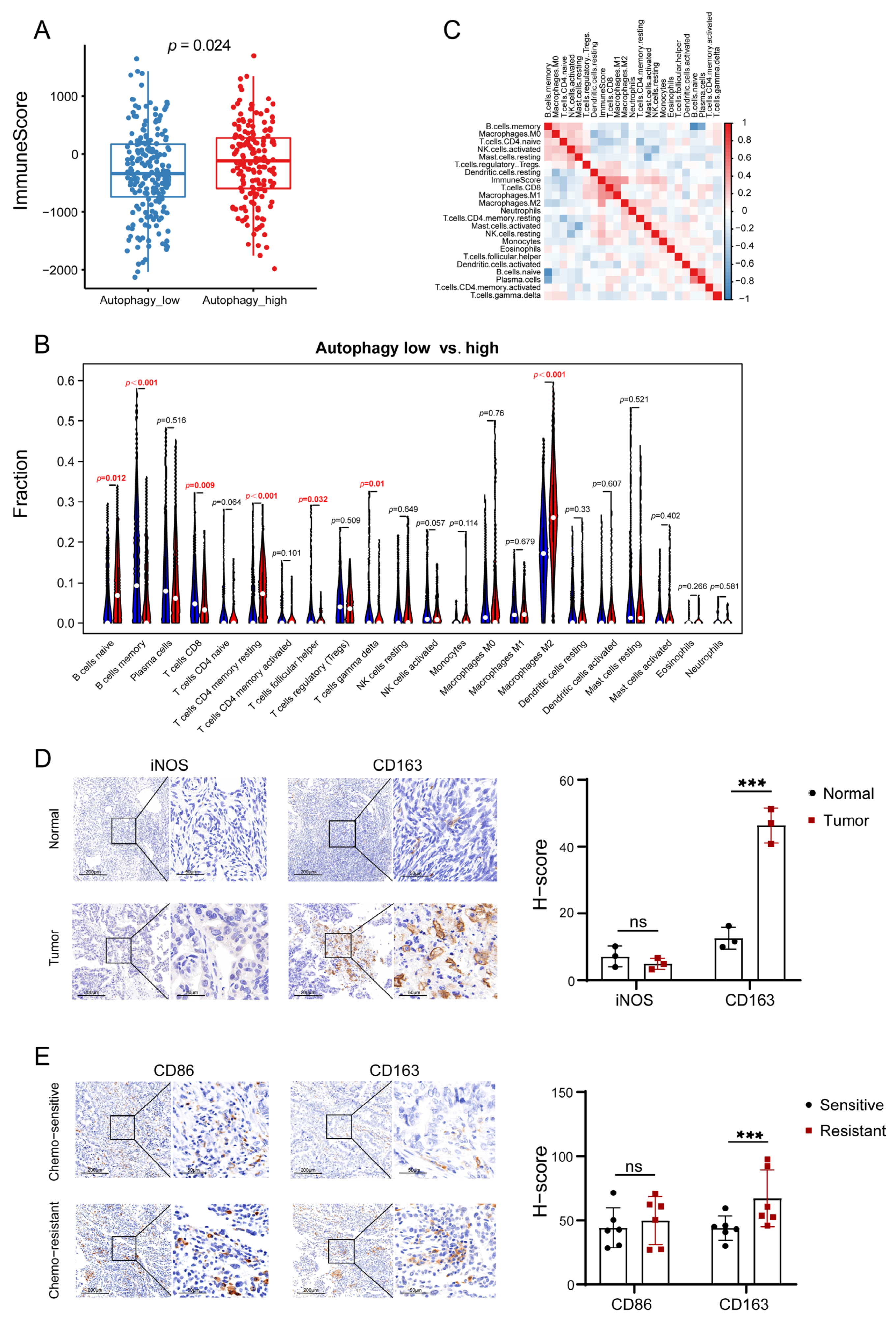 Biomolecules 13 00339 g003